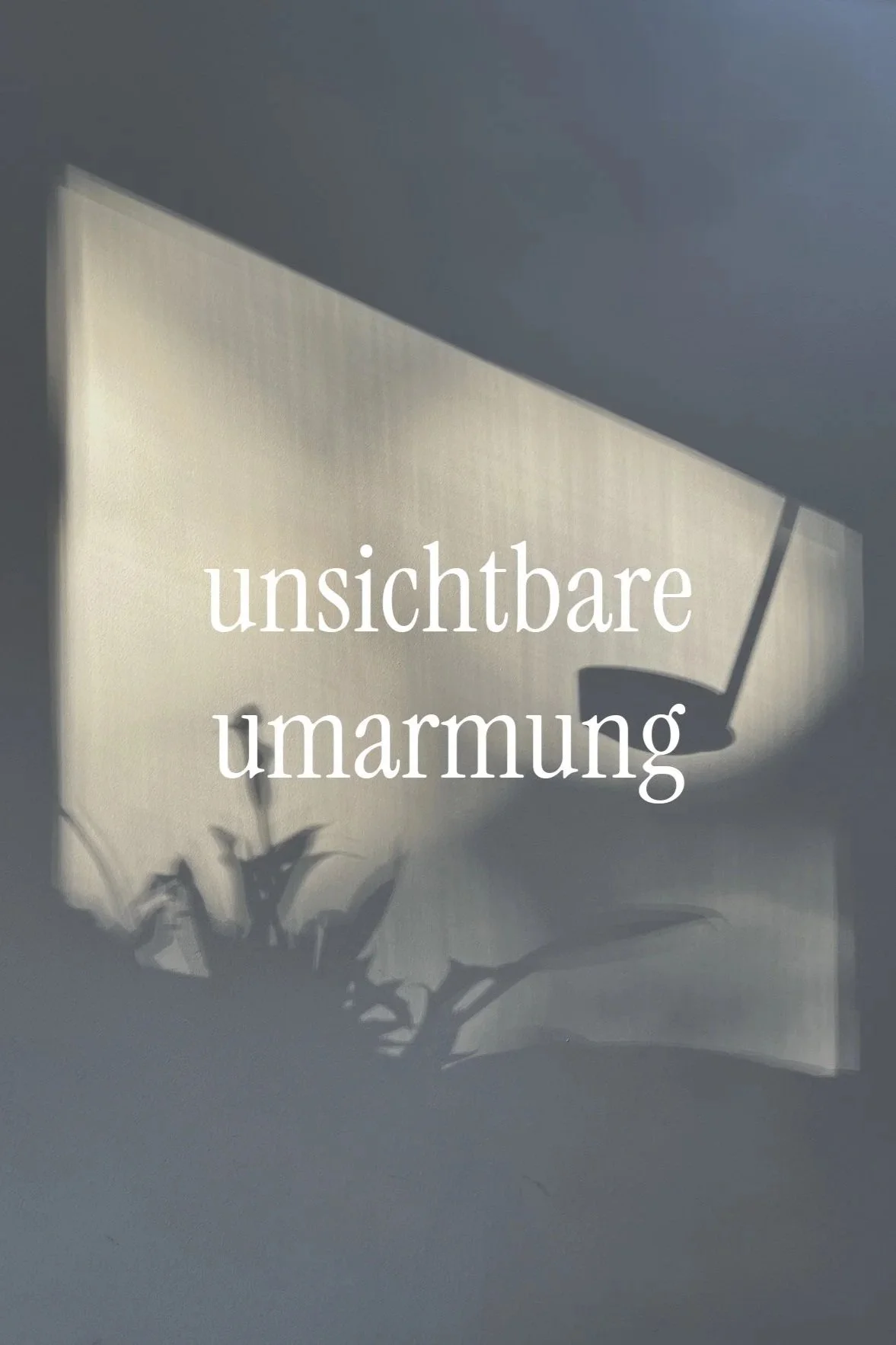 Schatten eines Pflanzen im Lichtschein, mit Text 'unsichtbare umarmung'