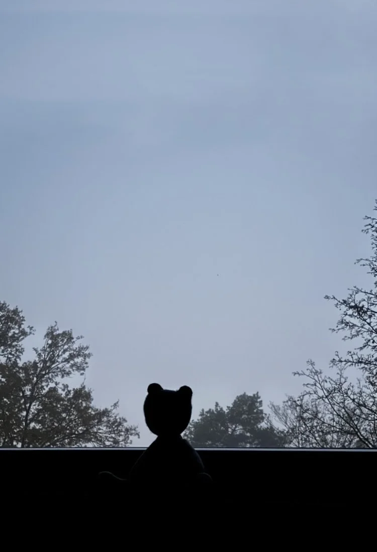 Figur eines Teddybären vor einem Fenster mit Blick auf einen bewölkten Himmel und Bäume draußen.