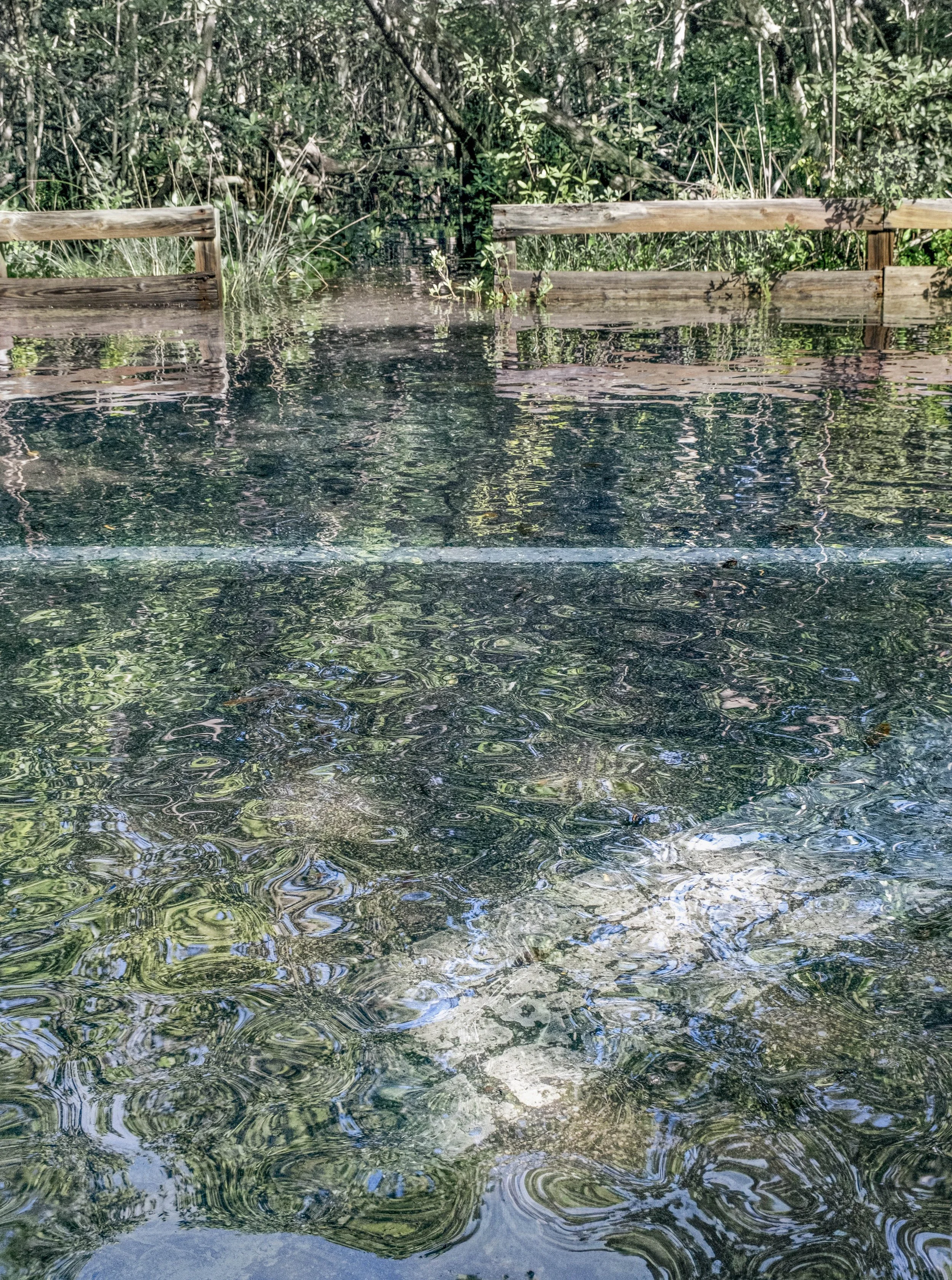 King Tide Flooding Covers Road, Reflection, Short Fence, Water Impressionist Style, Miami, 2024. Rana A Fine.