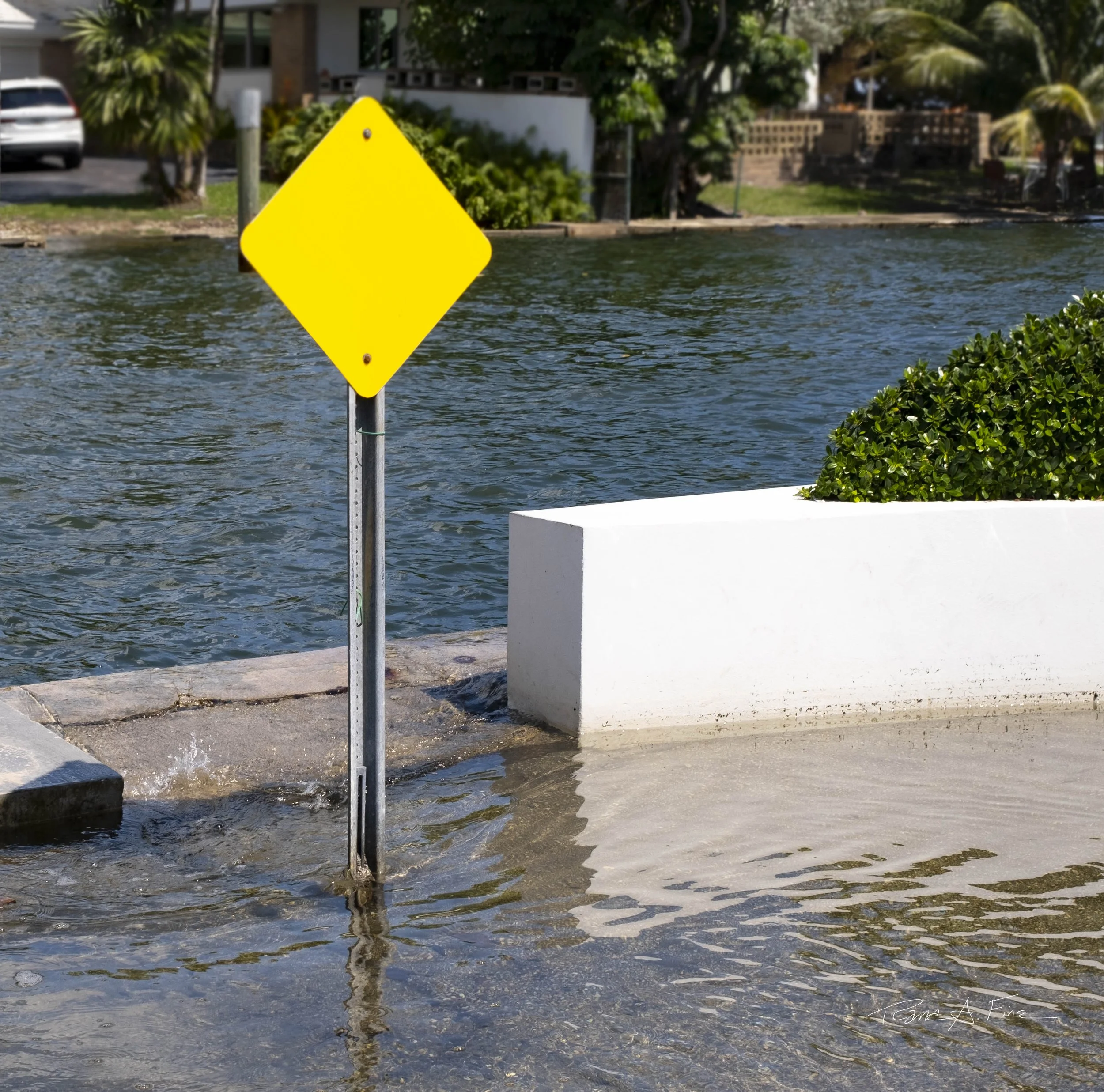 King Tide Flooding Covers Street With Yellow Sign and Canal Breach, Miami, Florida, 2024. Photo by Rana A Fine.