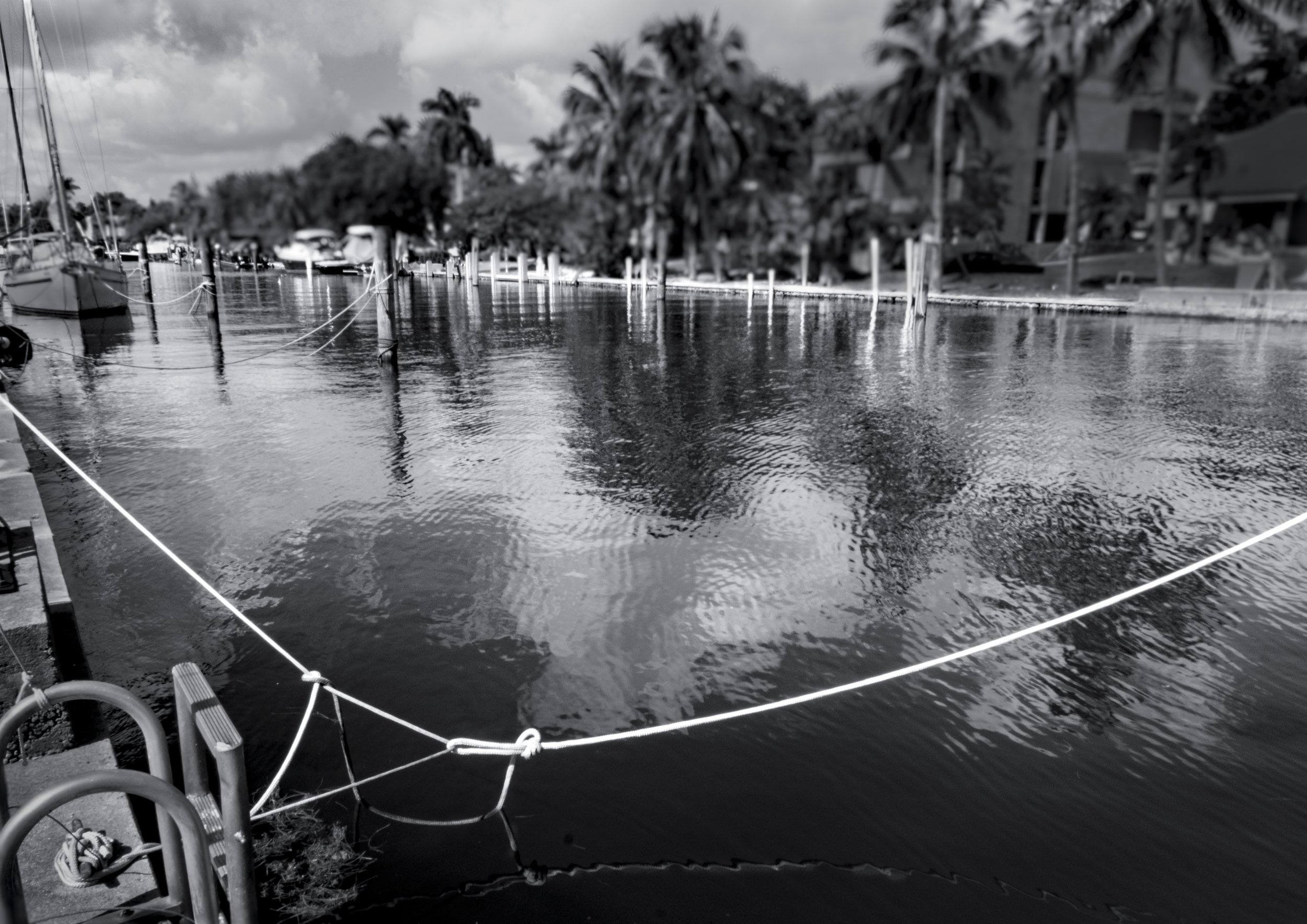 King Tide Flooding, Near Breach of Canal Sea Wall, Human Activity, Miami, 2025. Rana A. Fine