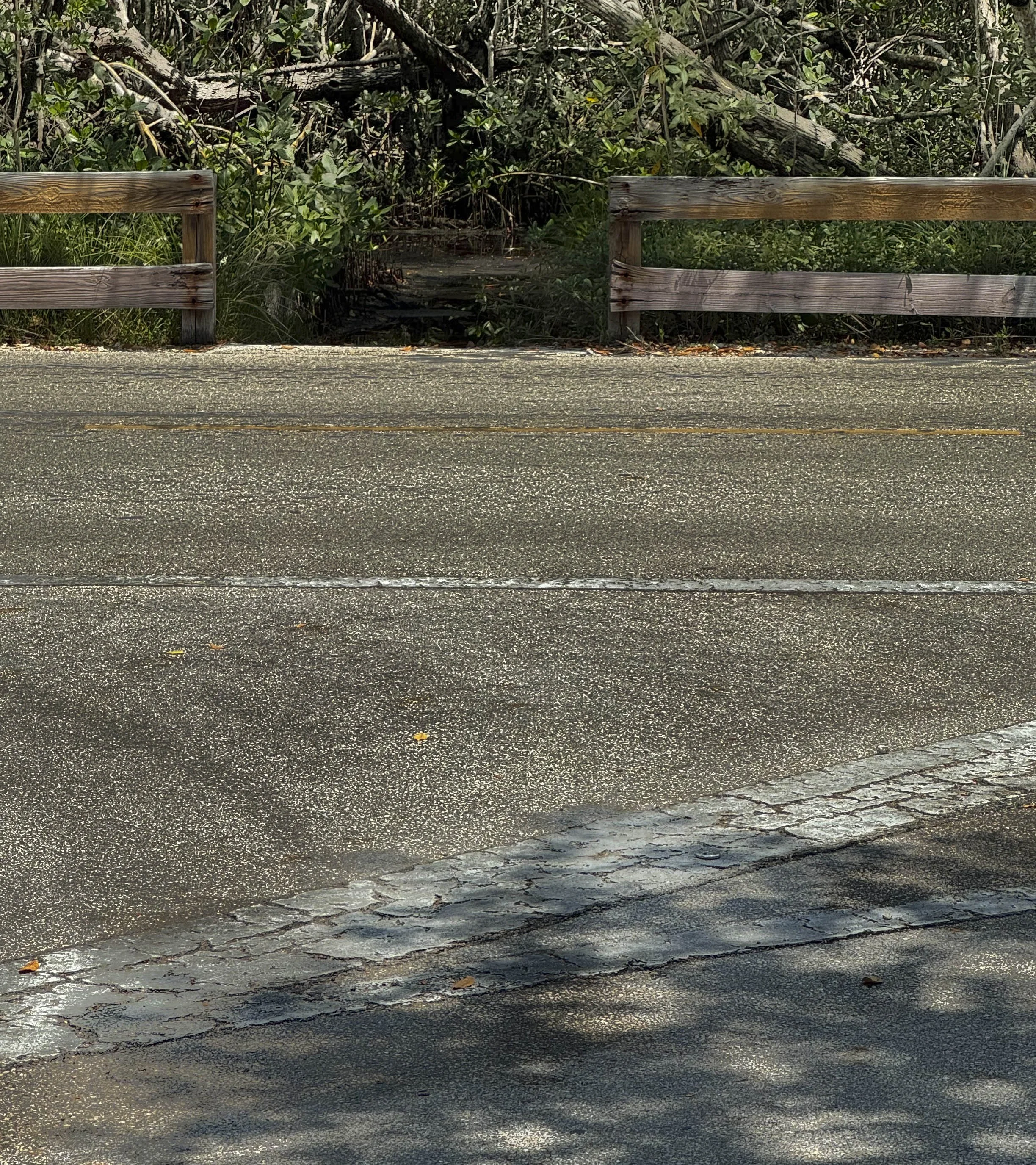Road During "normal times", No Flooding, Short Fence, Miami, 2026. Rana A Fine.