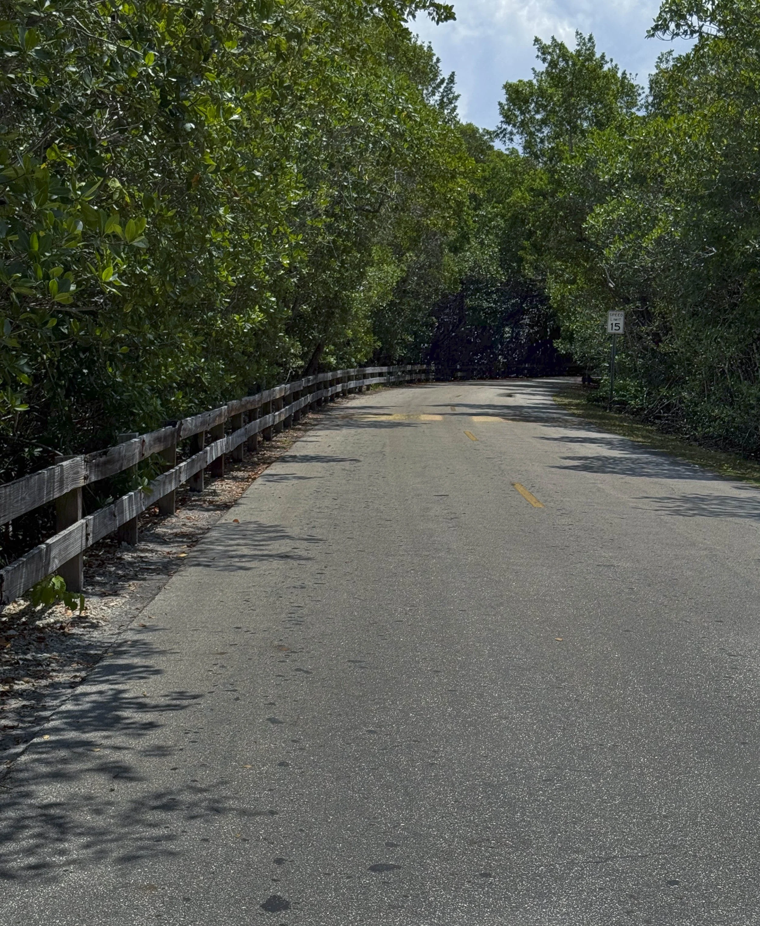 Road During "normal times", No Flooding, Long Fence, Miami, 2026. Rana A Fine.