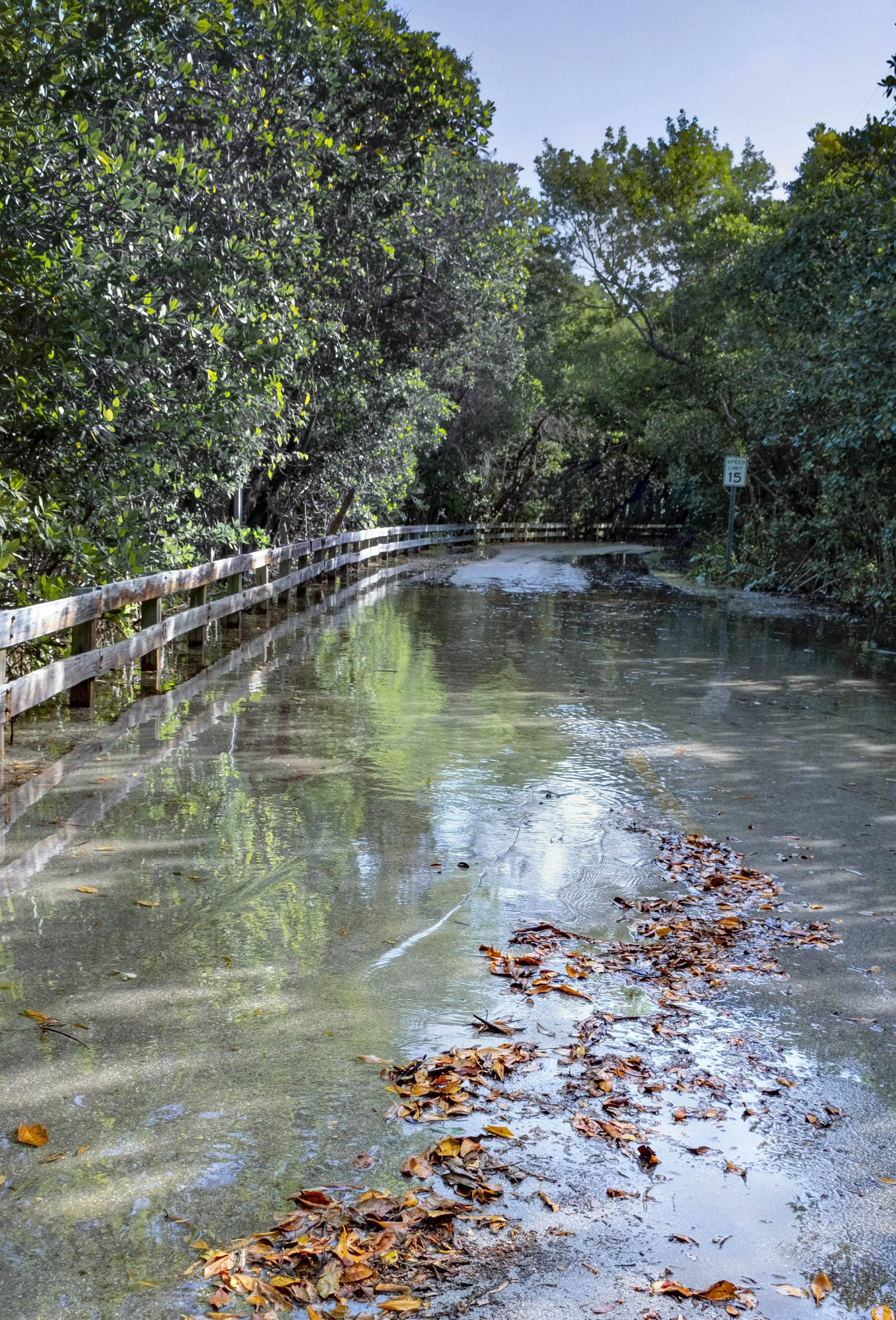 King Tide Flooding Covers Road, Reflection, Long Fence,  Miami, 2024. Rana A Fine.