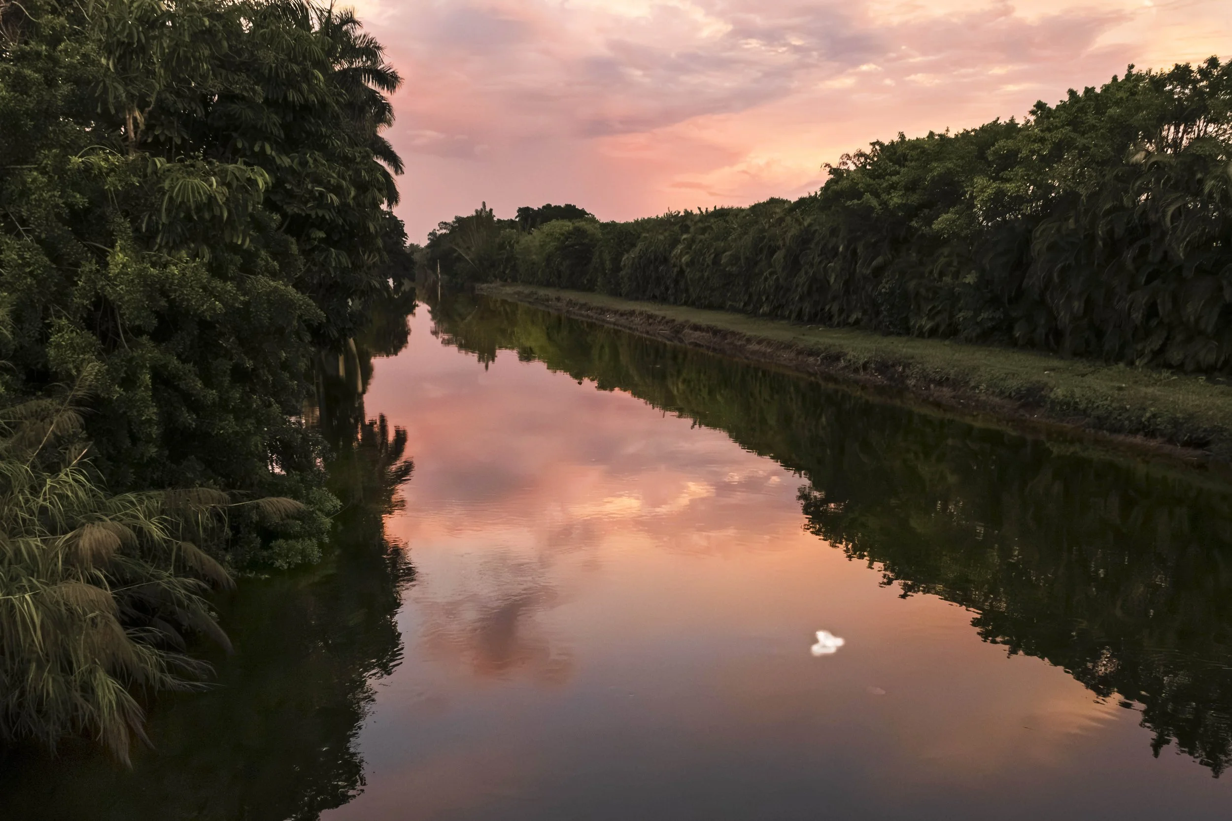 Canal Sunset With Debris, Miami, 2023. Rana A Fine. 