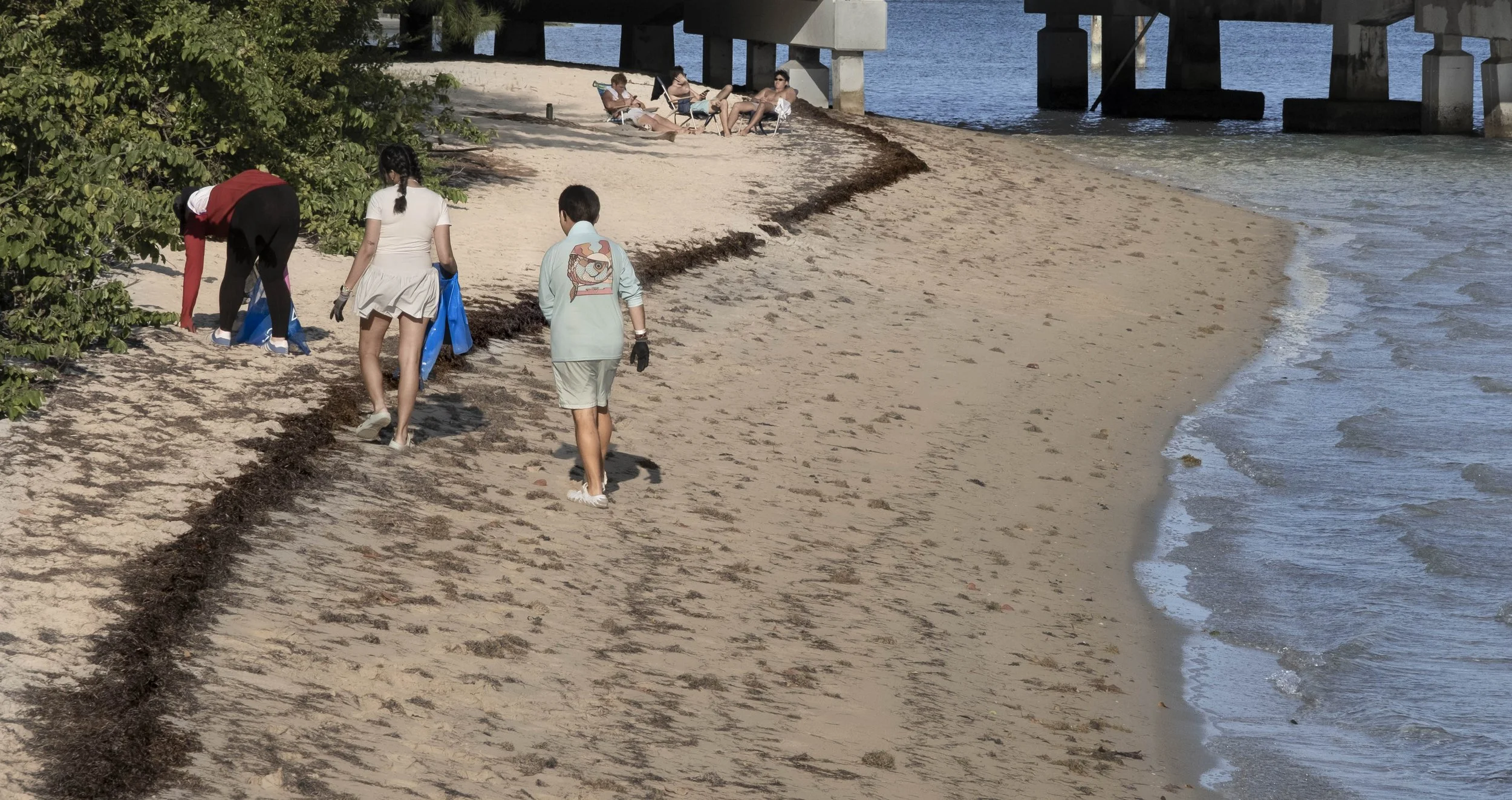 One Group Recreating and One Beach Cleaning, Bear Cut Beach, Miami, 2026. Rana A Fine.
