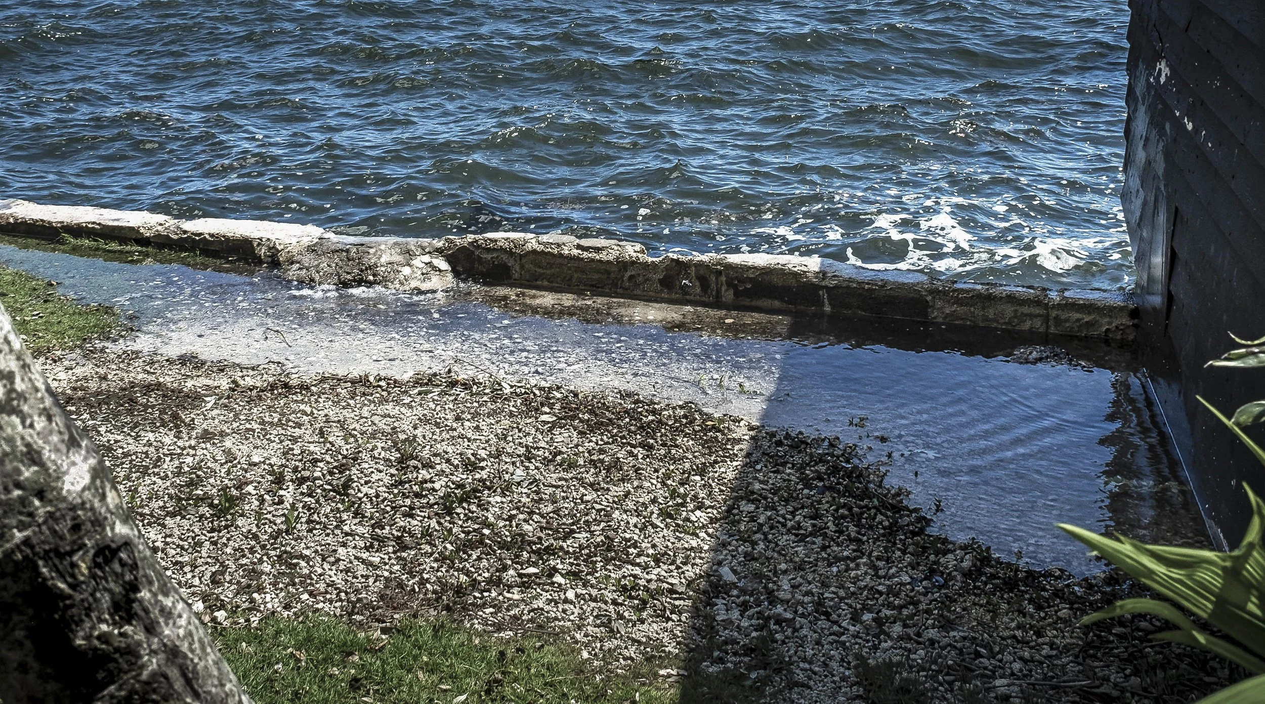 Sea Wall Breach during King Tide Flooding, Miami, 2024. Rana A Fine.