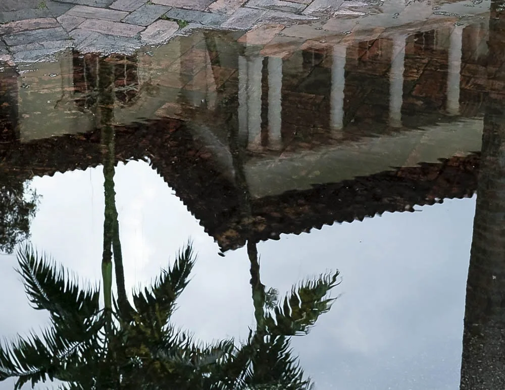 King Tide Flooding Covers Street, Reflection, House Palm Tree, Pinecrest, Miami, 2022. Rana A Fine.