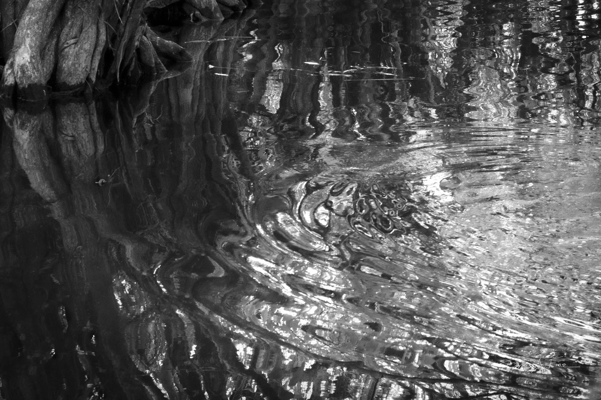 Ocean Ecosystems, Reflection Swirls, Water Impressionist Style, Everglades, Miami, 2025. Rana A Fine.
