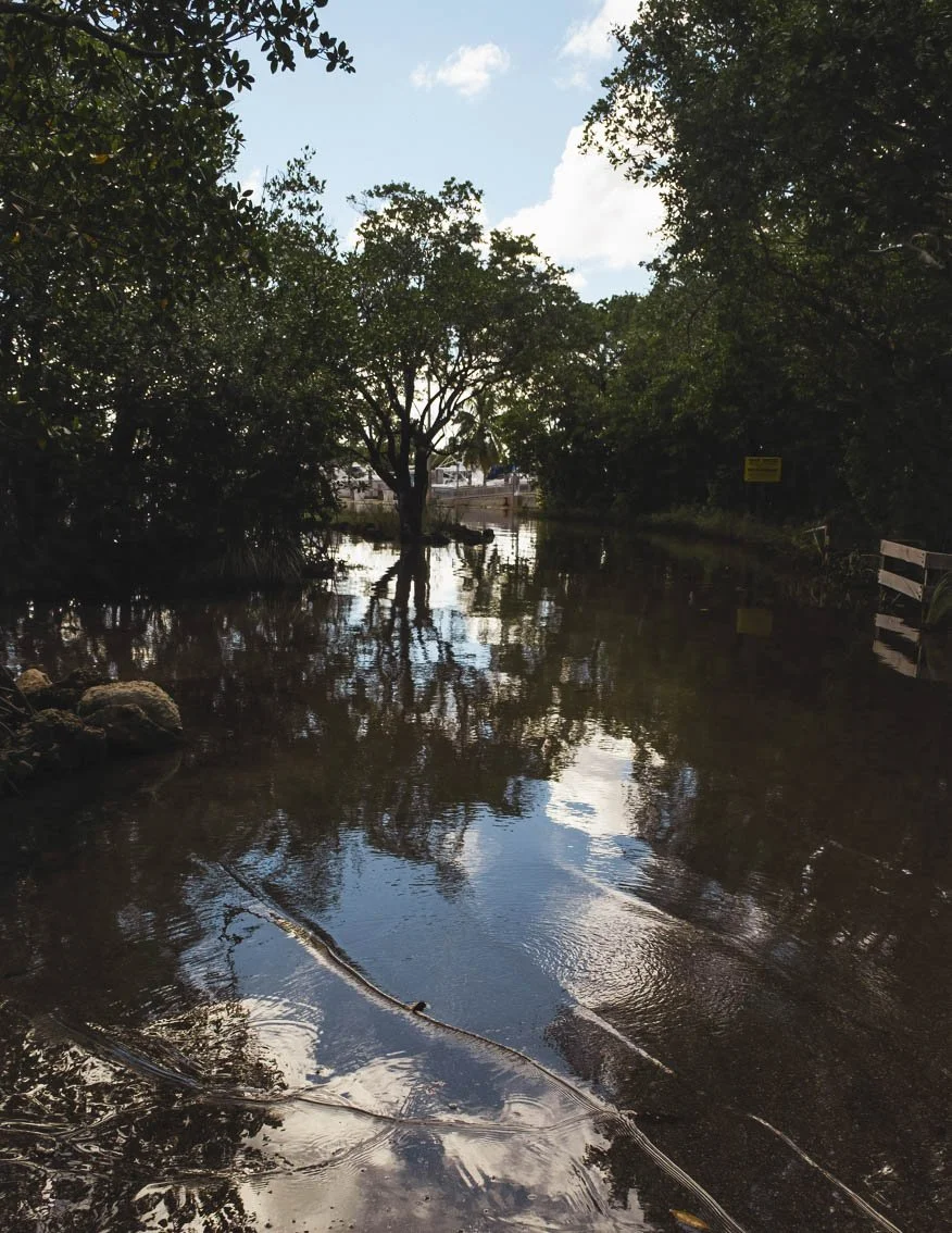 King Tide Flooding Covers Road With Reflection of Clouds, Miami, Florida, 2024. Photo by Rana A Fine.