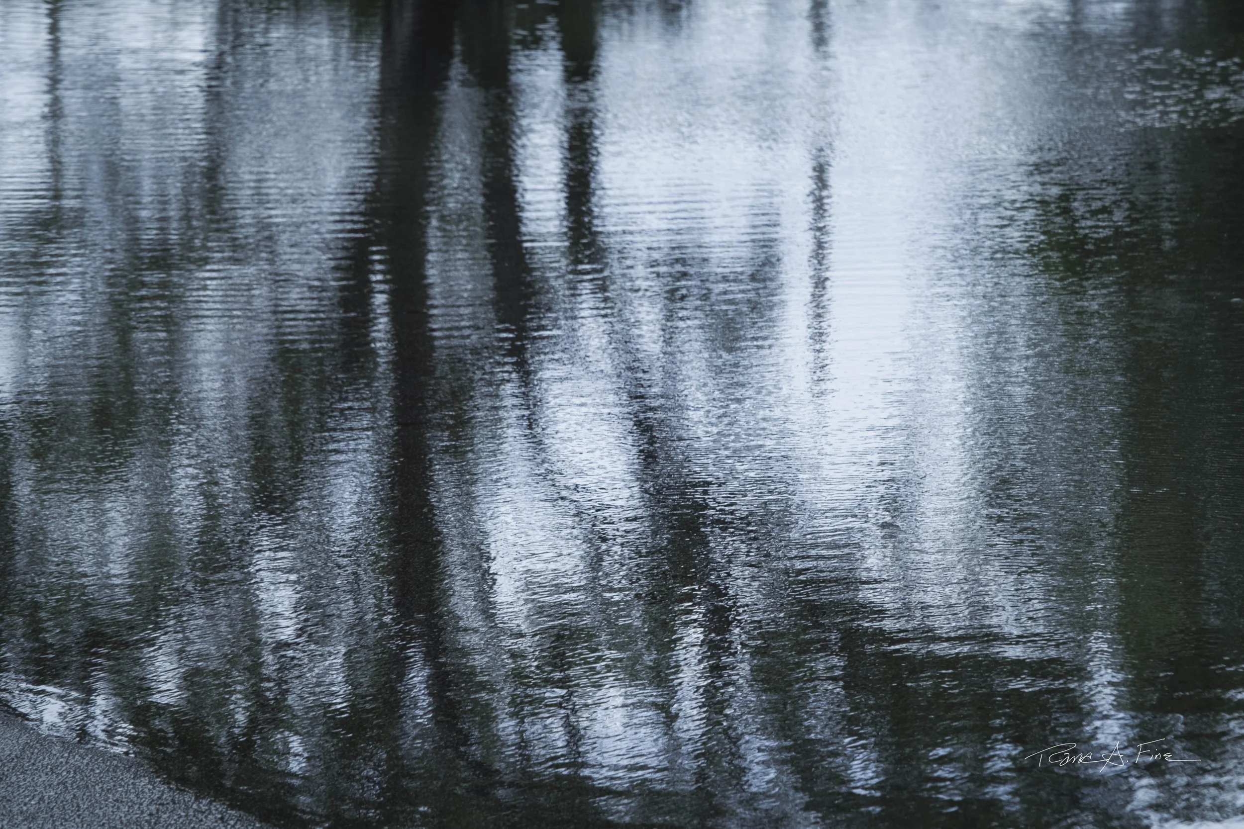 King Tide Flooding Covers Street With Reflection in Blue, Water After Impressionist Style, Miami, Florida, 2024. Photo by Rana A Fine.
