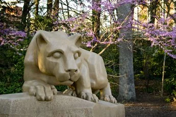 lion shrine spring 2009 shade IMG_7935.jpg