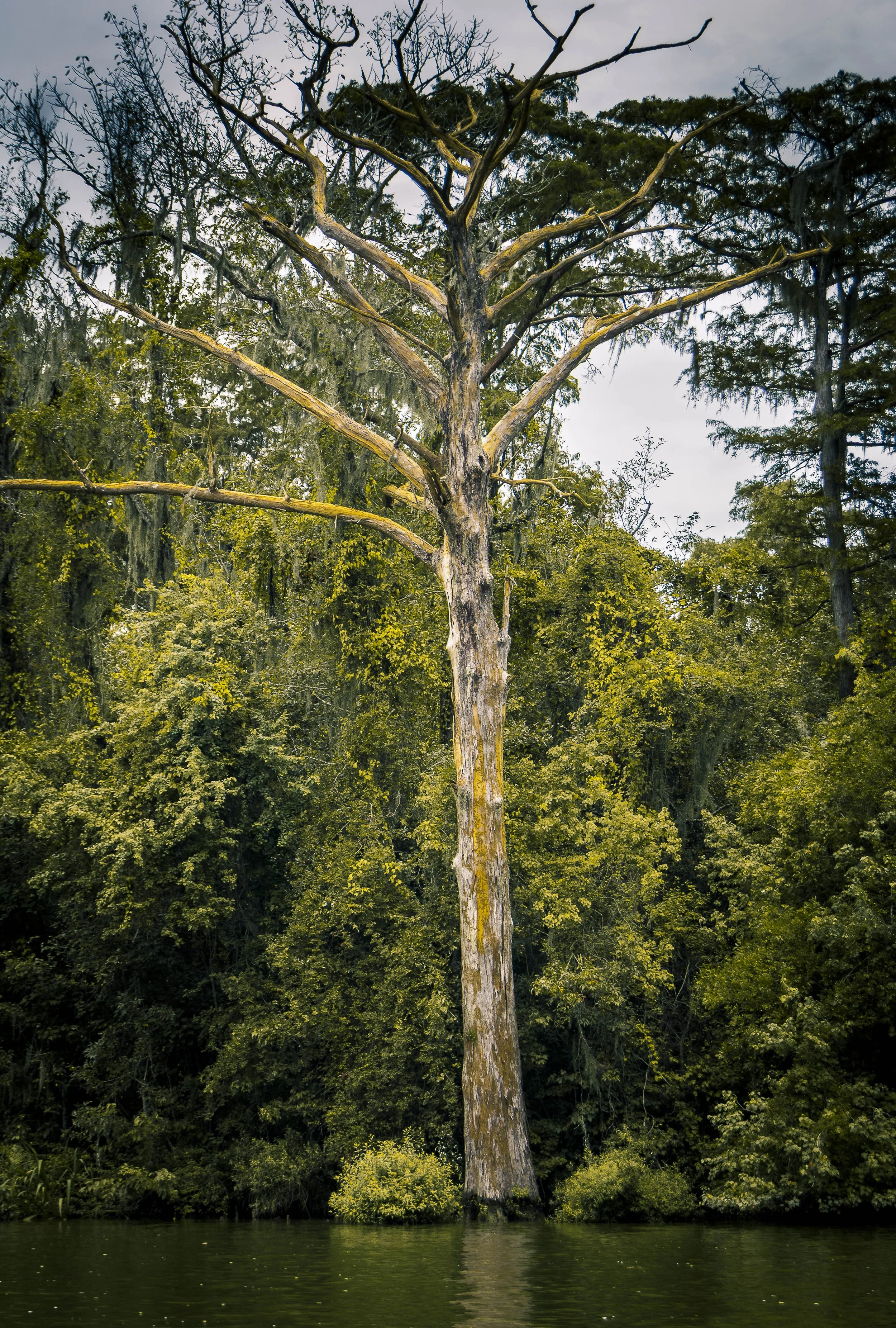 DSC_1897.jpg