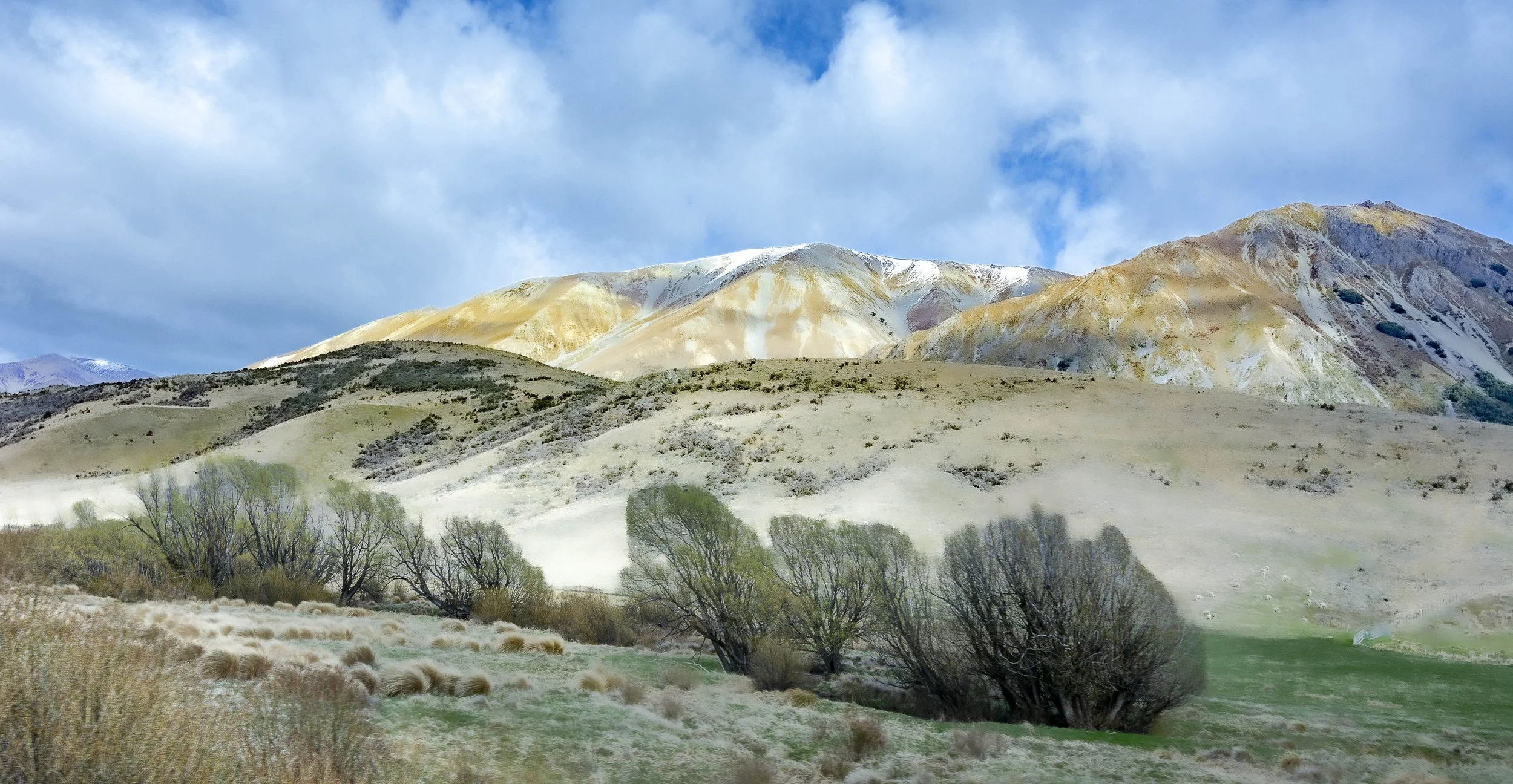 DSC_5535.jpg