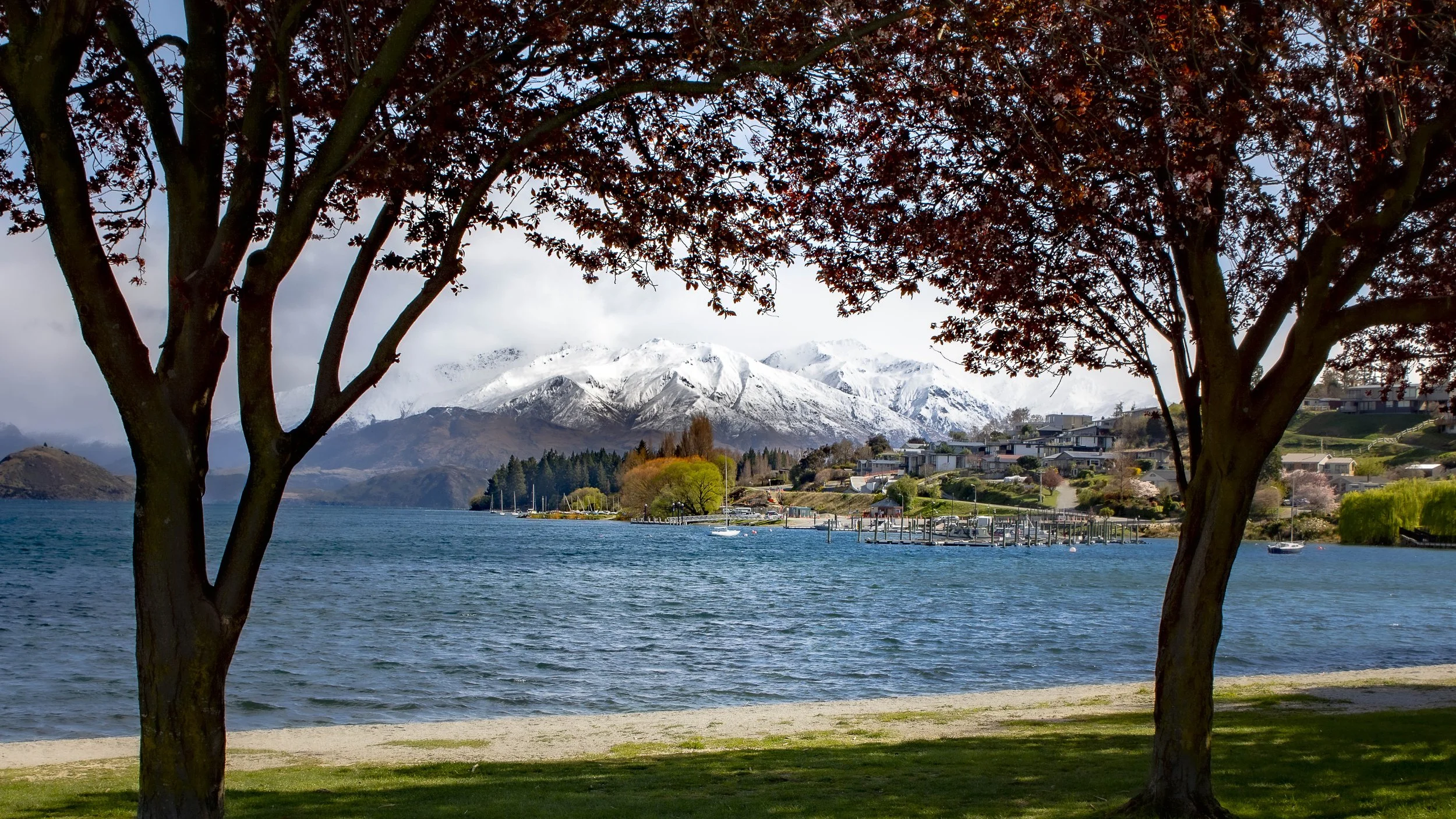 DSC_5274.jpg