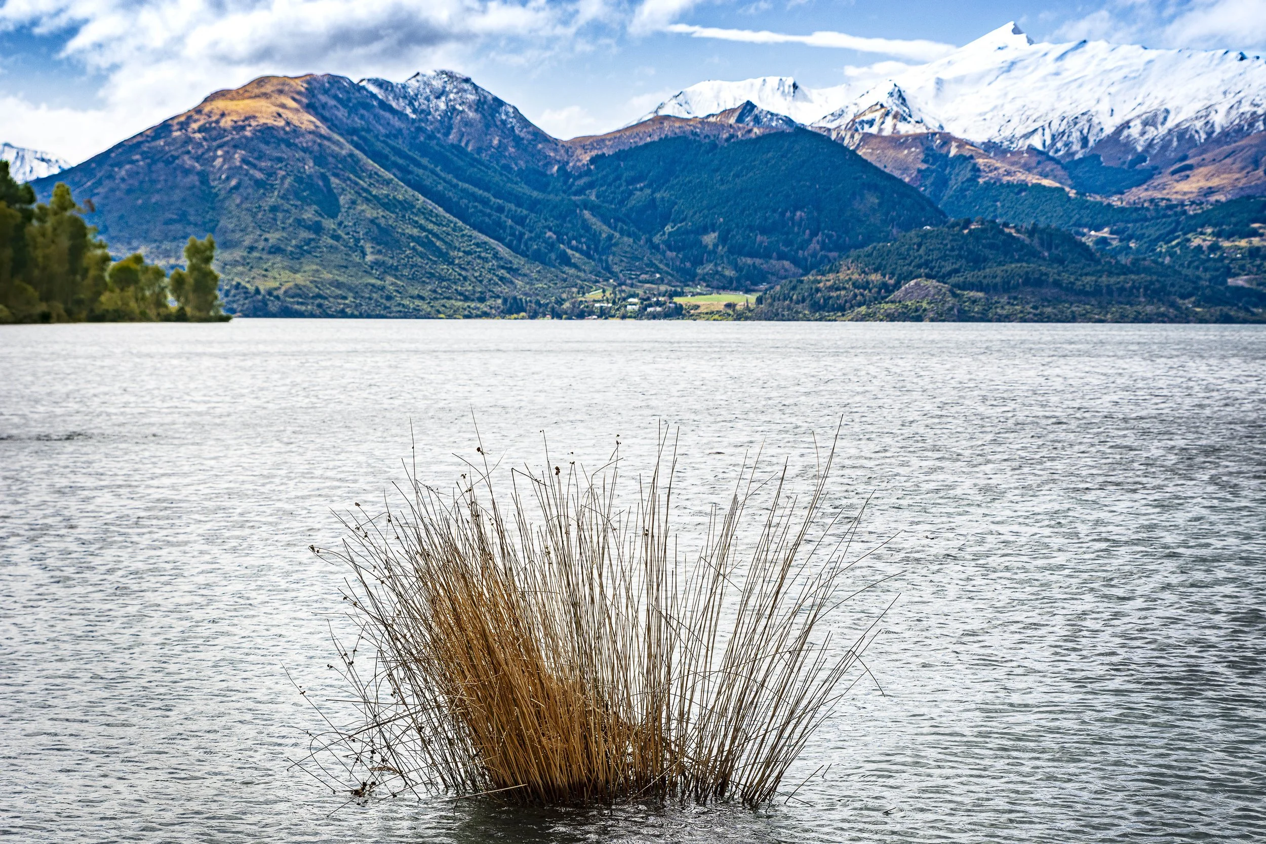 DSC_5408-2.jpg
