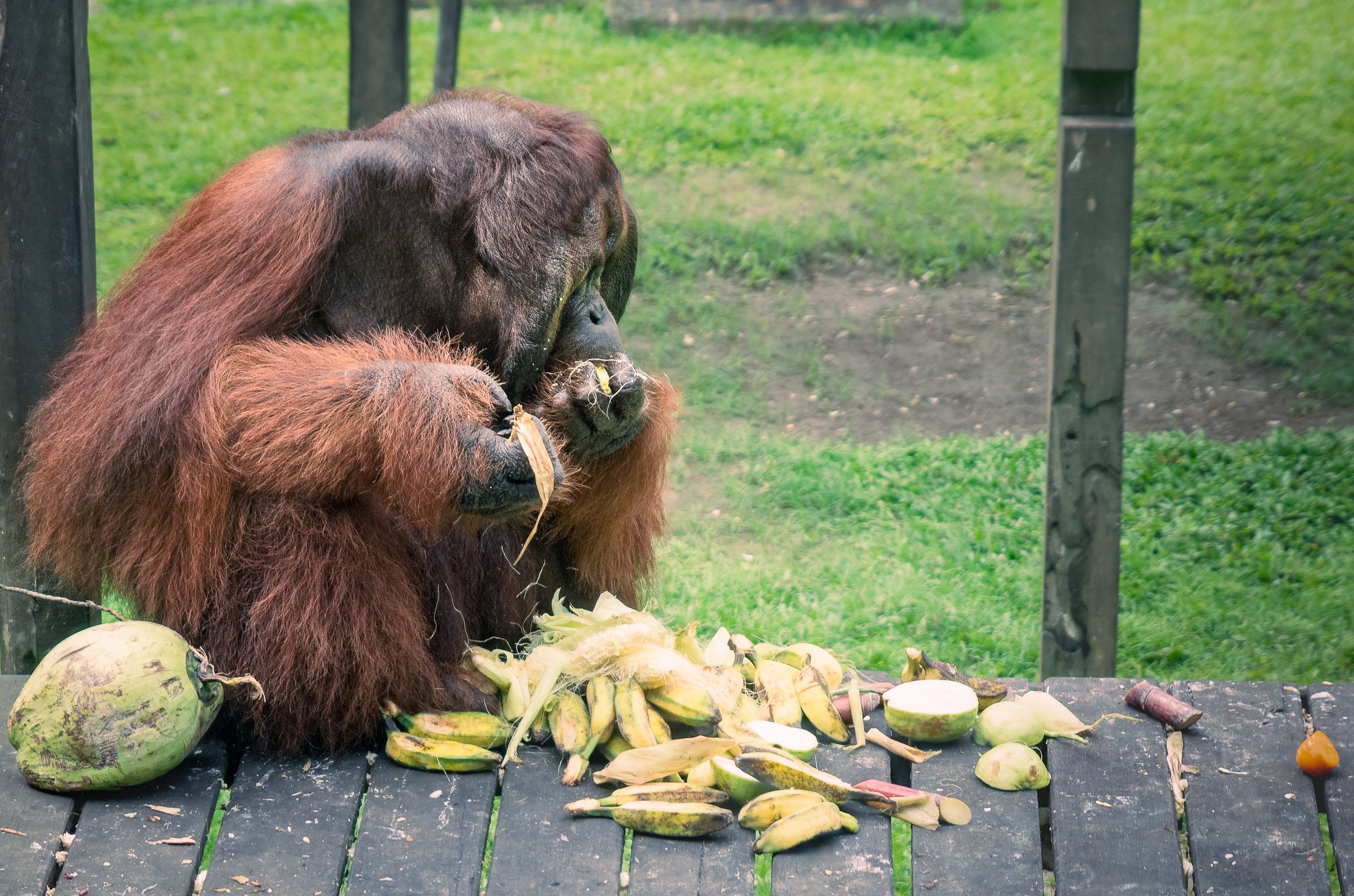 DSC_5706-Edit.jpg