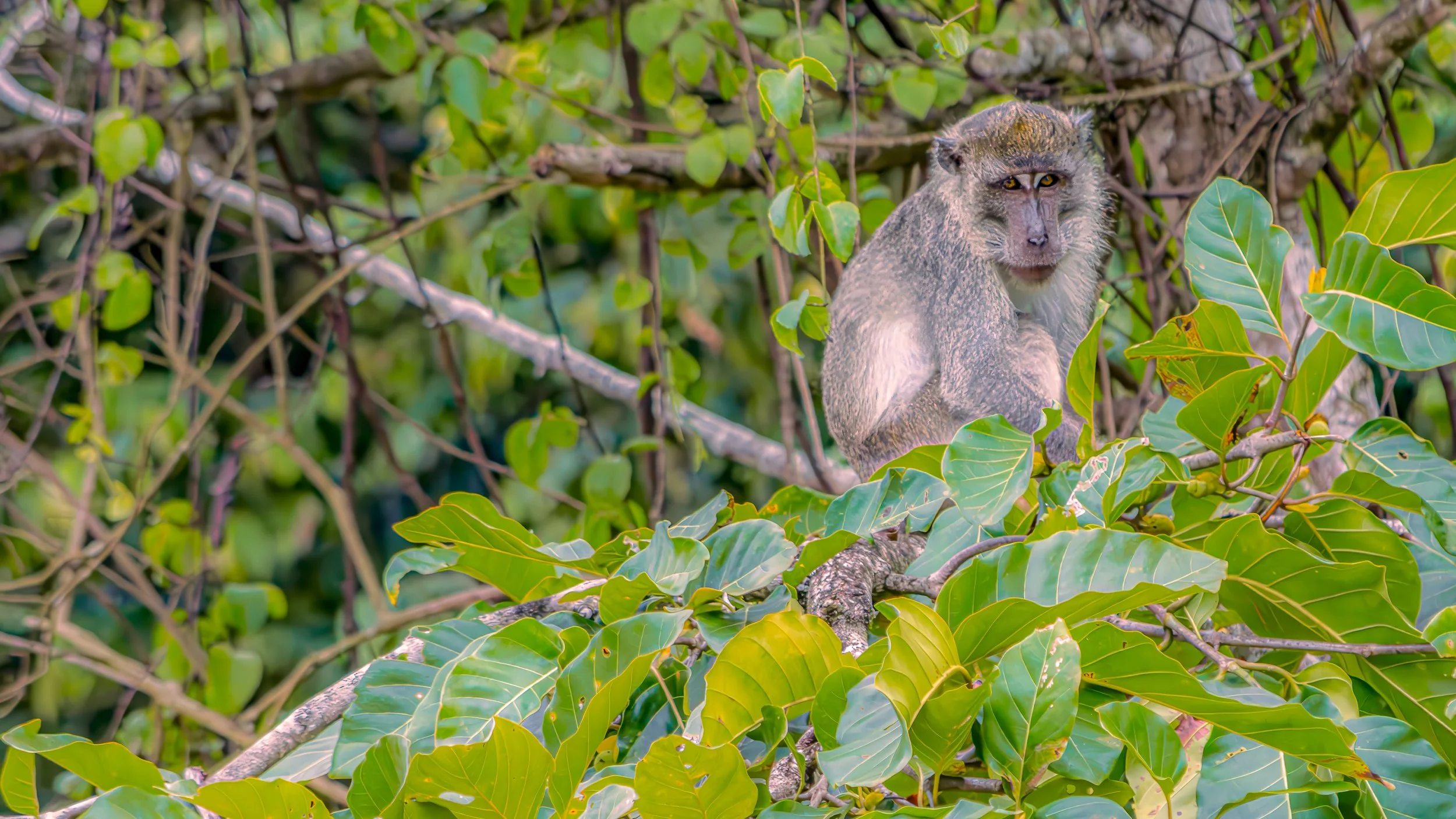 DSC_5876-Edit.jpg