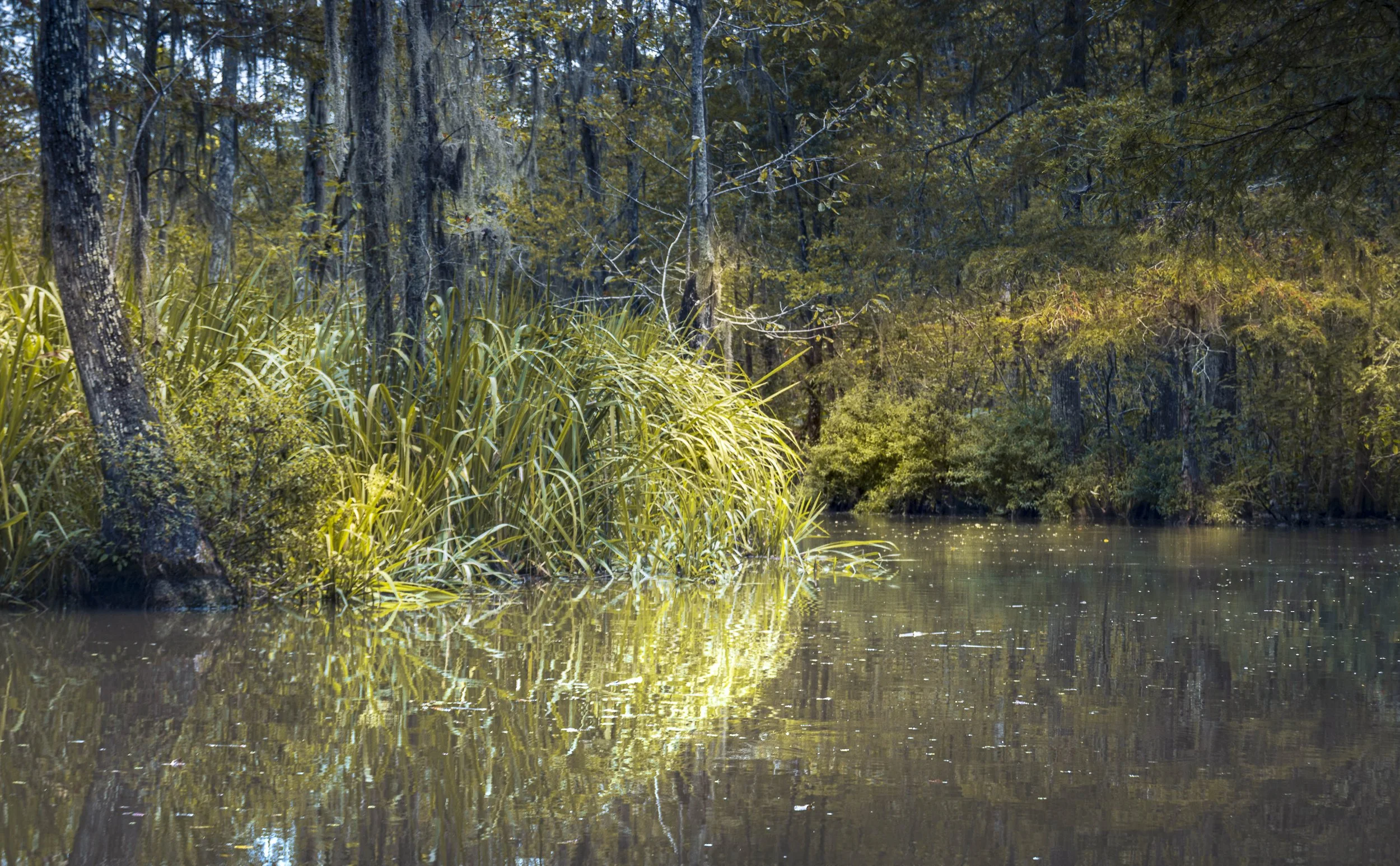DSC_1943.jpg