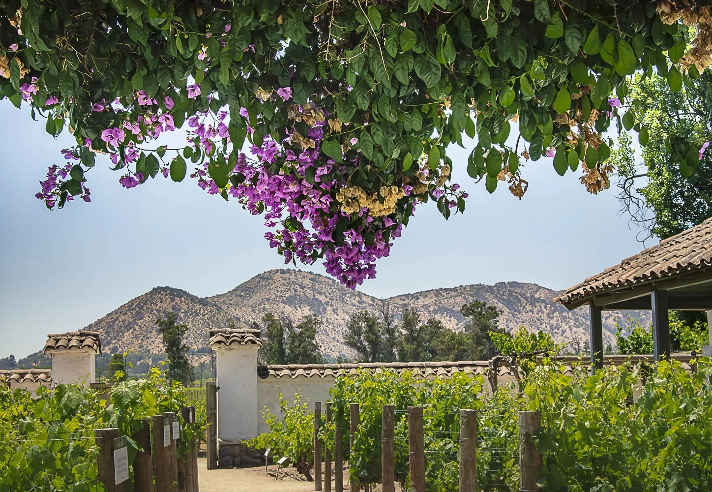 South America ~ Argentina ~ Chile