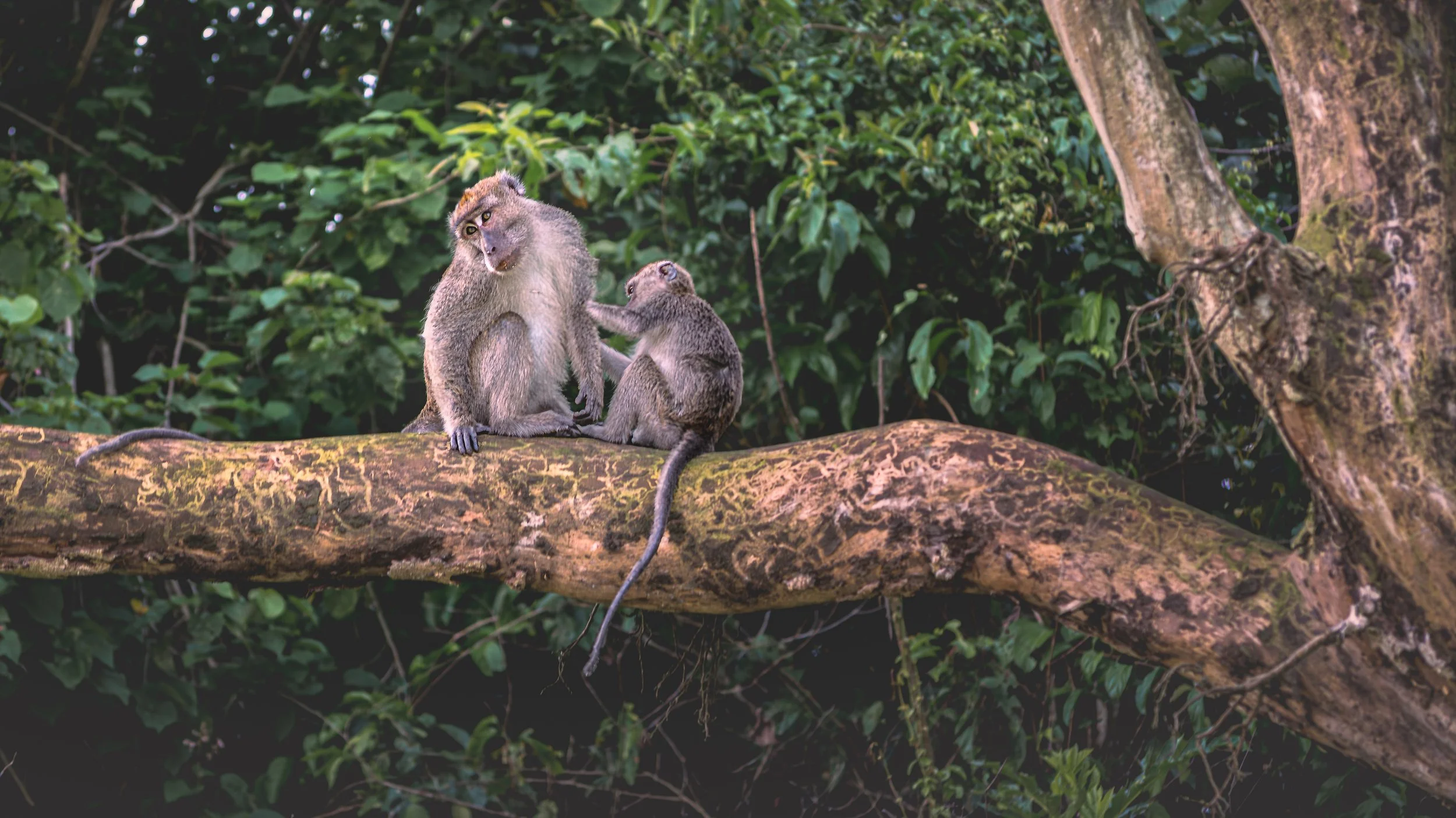 DSC_5757-Edit.jpg