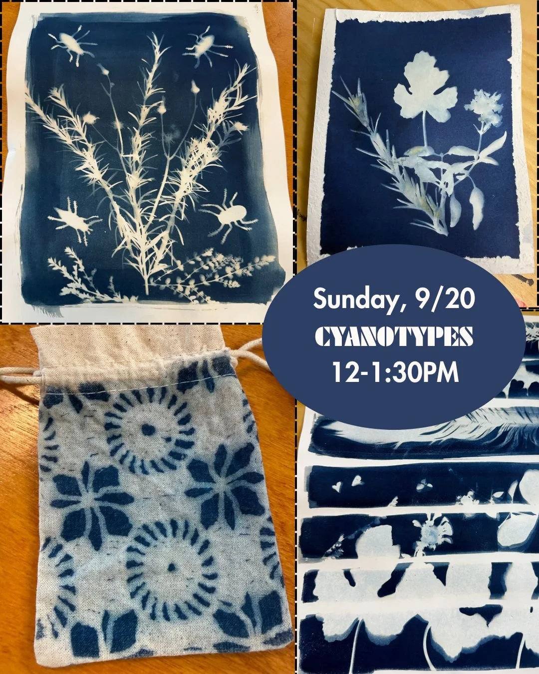 9/20:  Cyanotypes