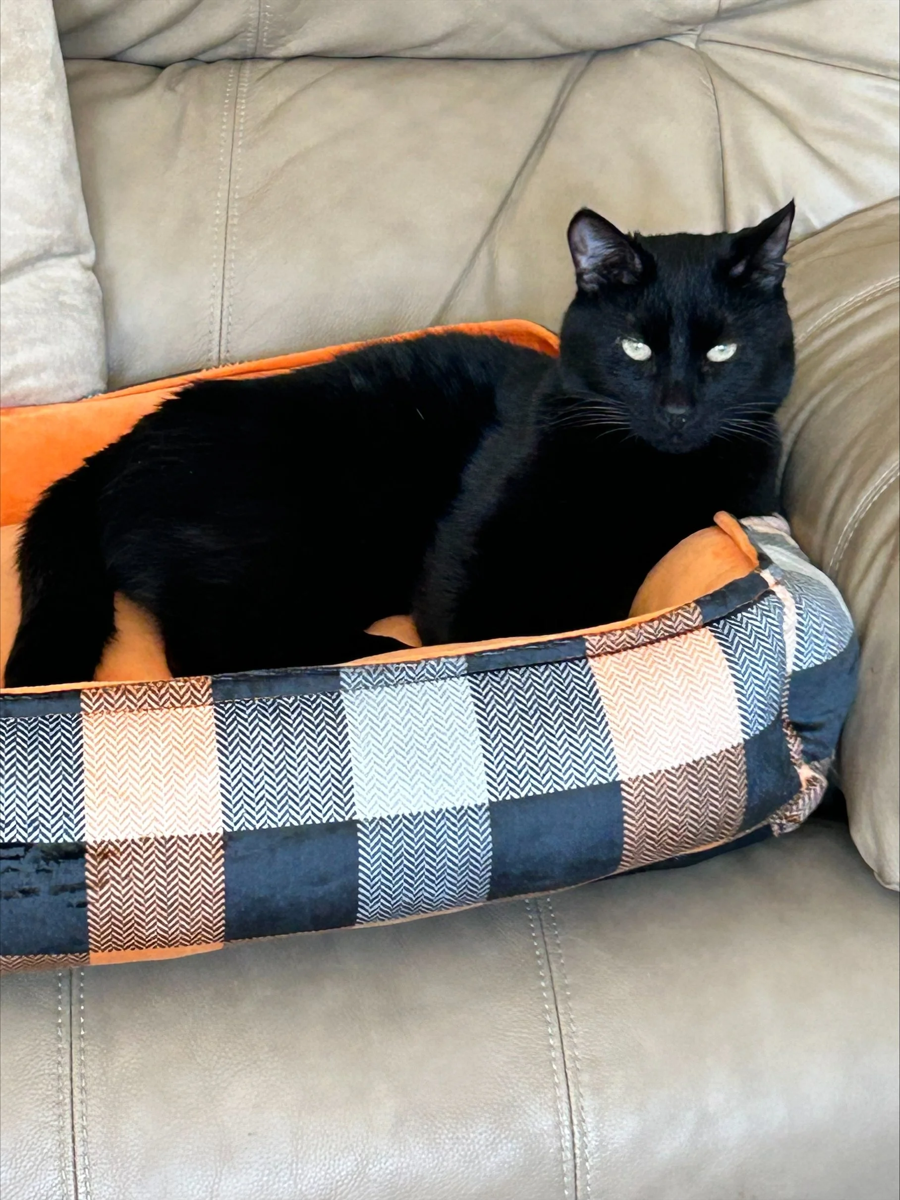 Binx