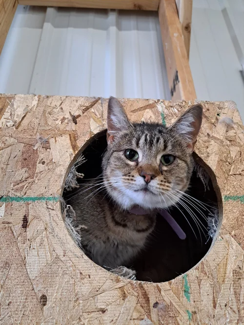 Sam