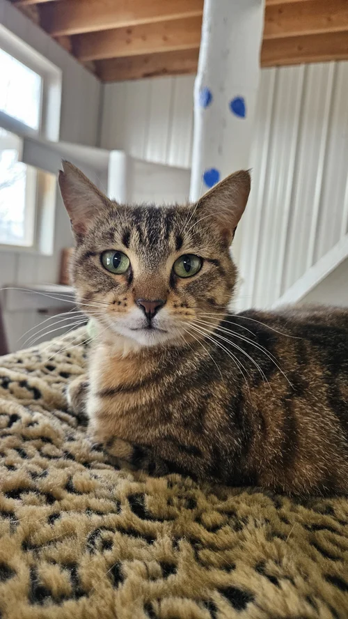 Ellie