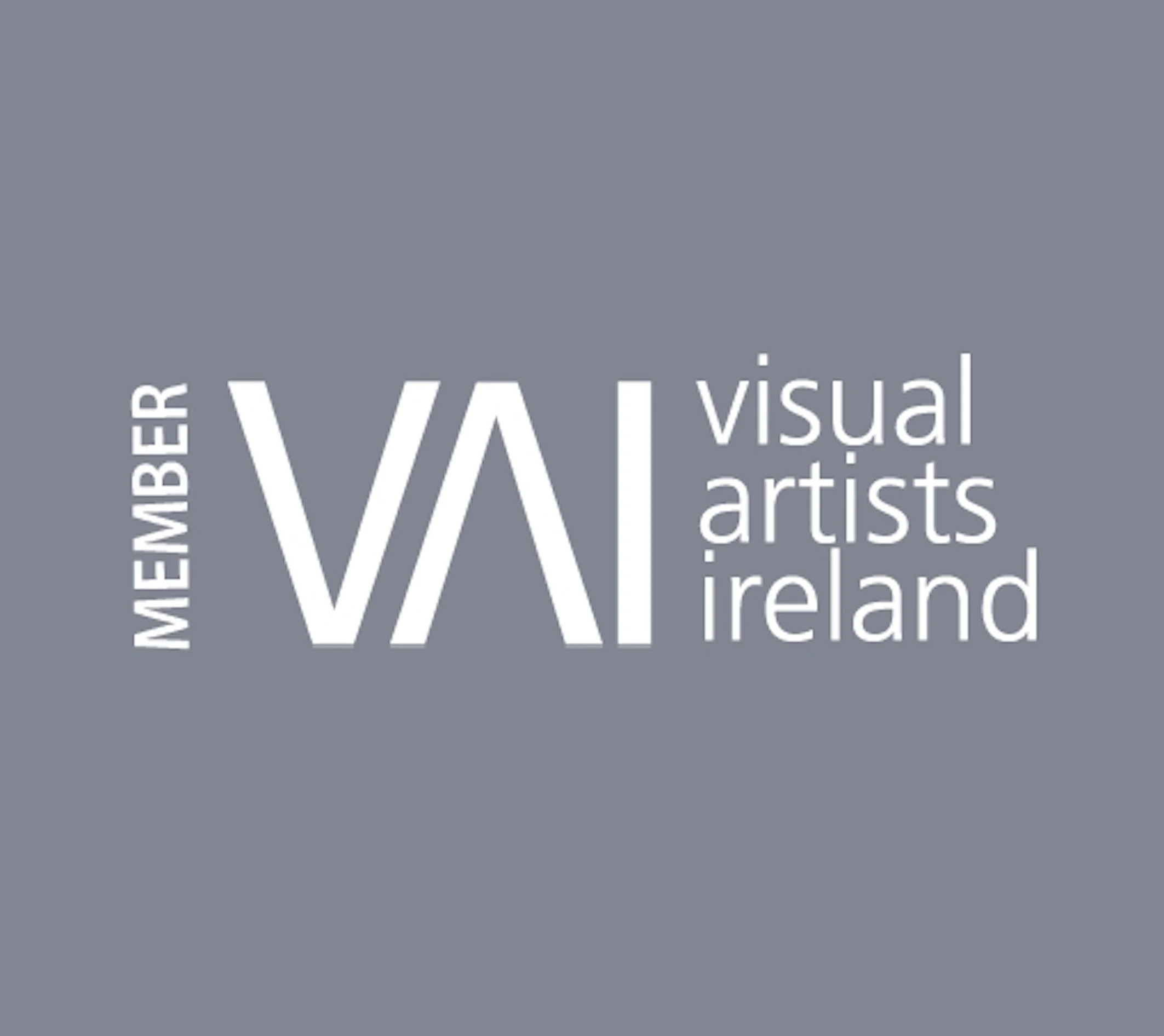Visual Arts Ireland.jpg