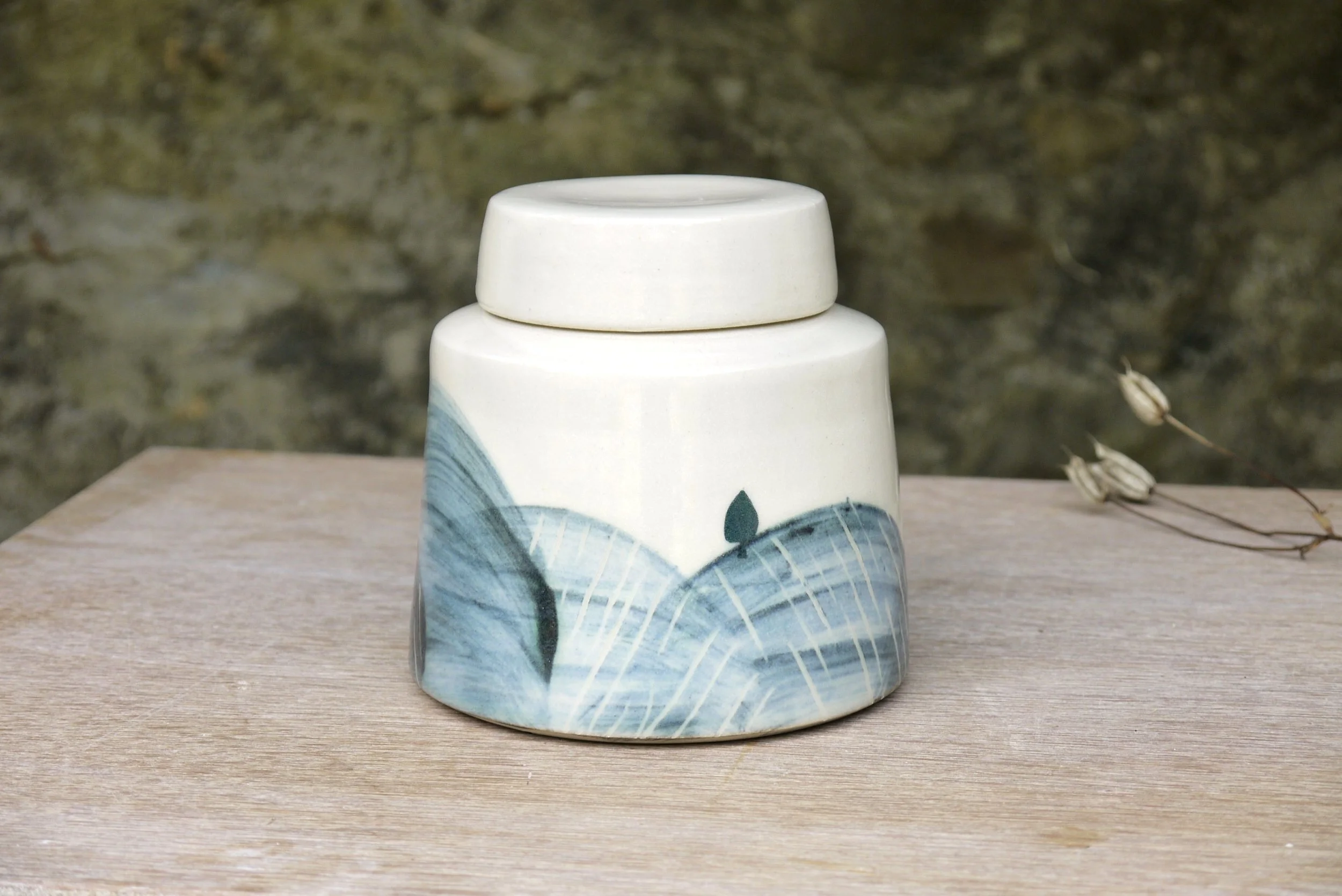 Bridget Timoney handmade ceramic tea caddy 1a.JPG