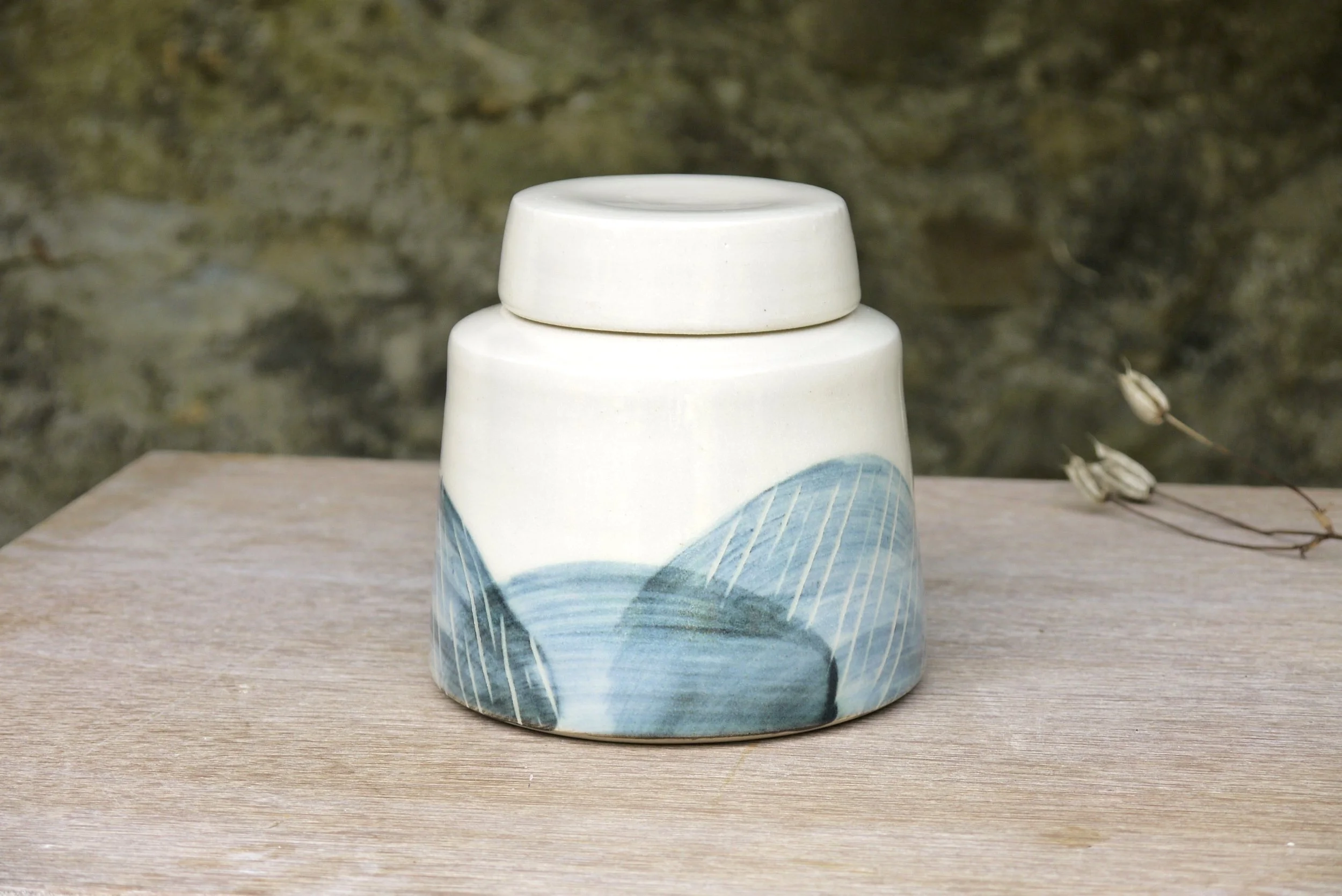 Bridget Timoney handmade ceramic tea caddy 1b.JPG