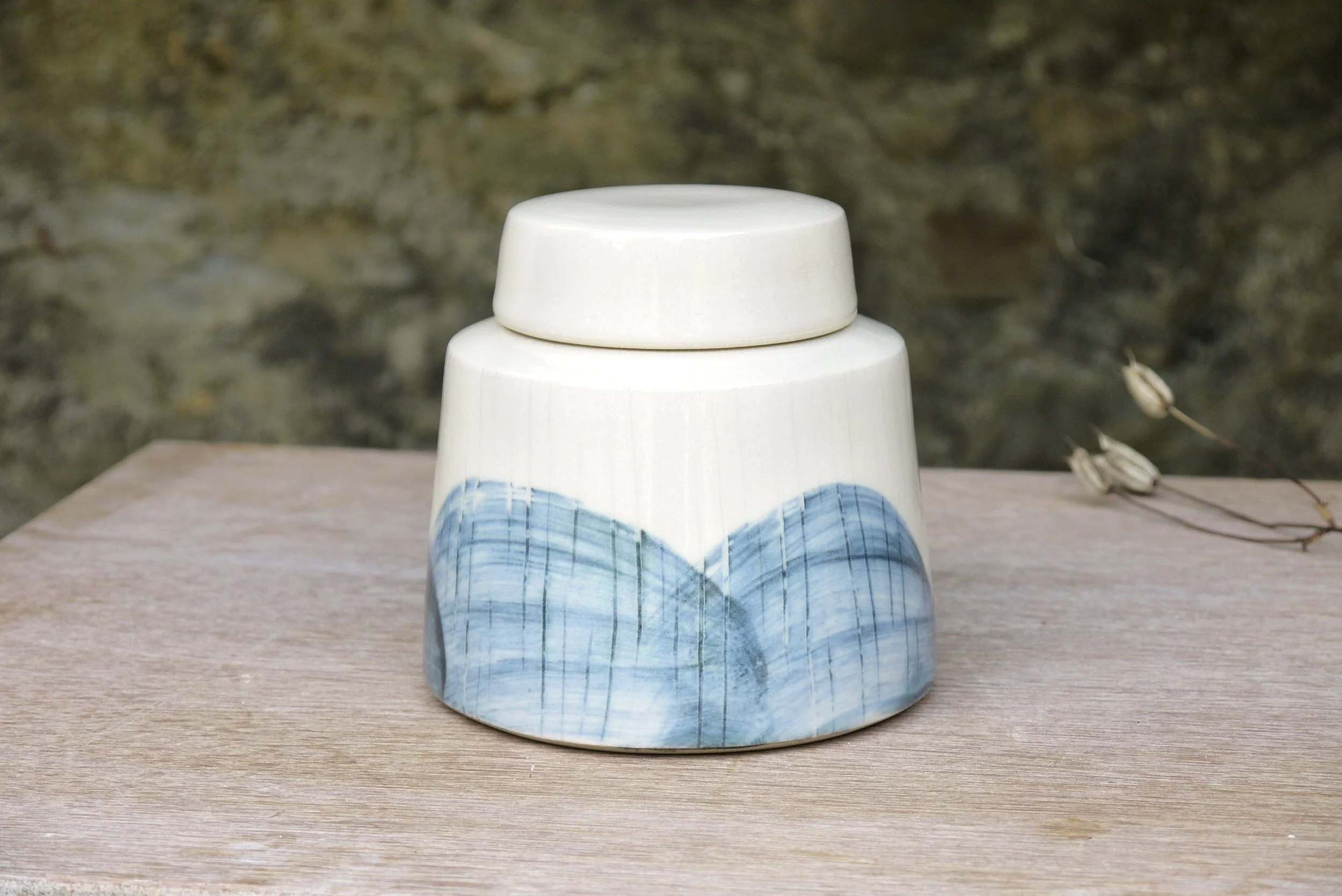 Bridget Timoney handmade ceramic tea caddy 2a.JPG