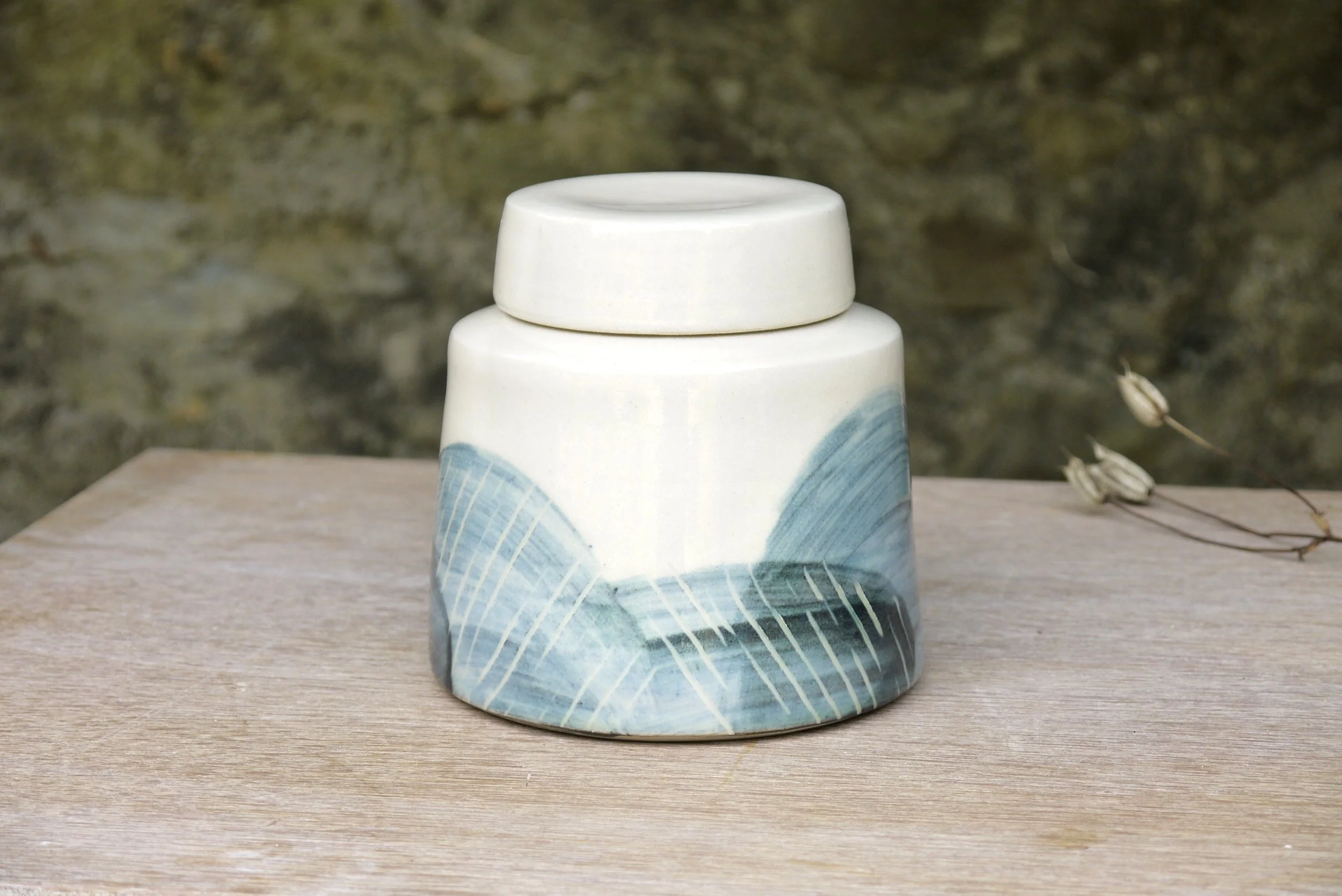 Bridget Timoney handmade ceramic tea caddy 1c.JPG