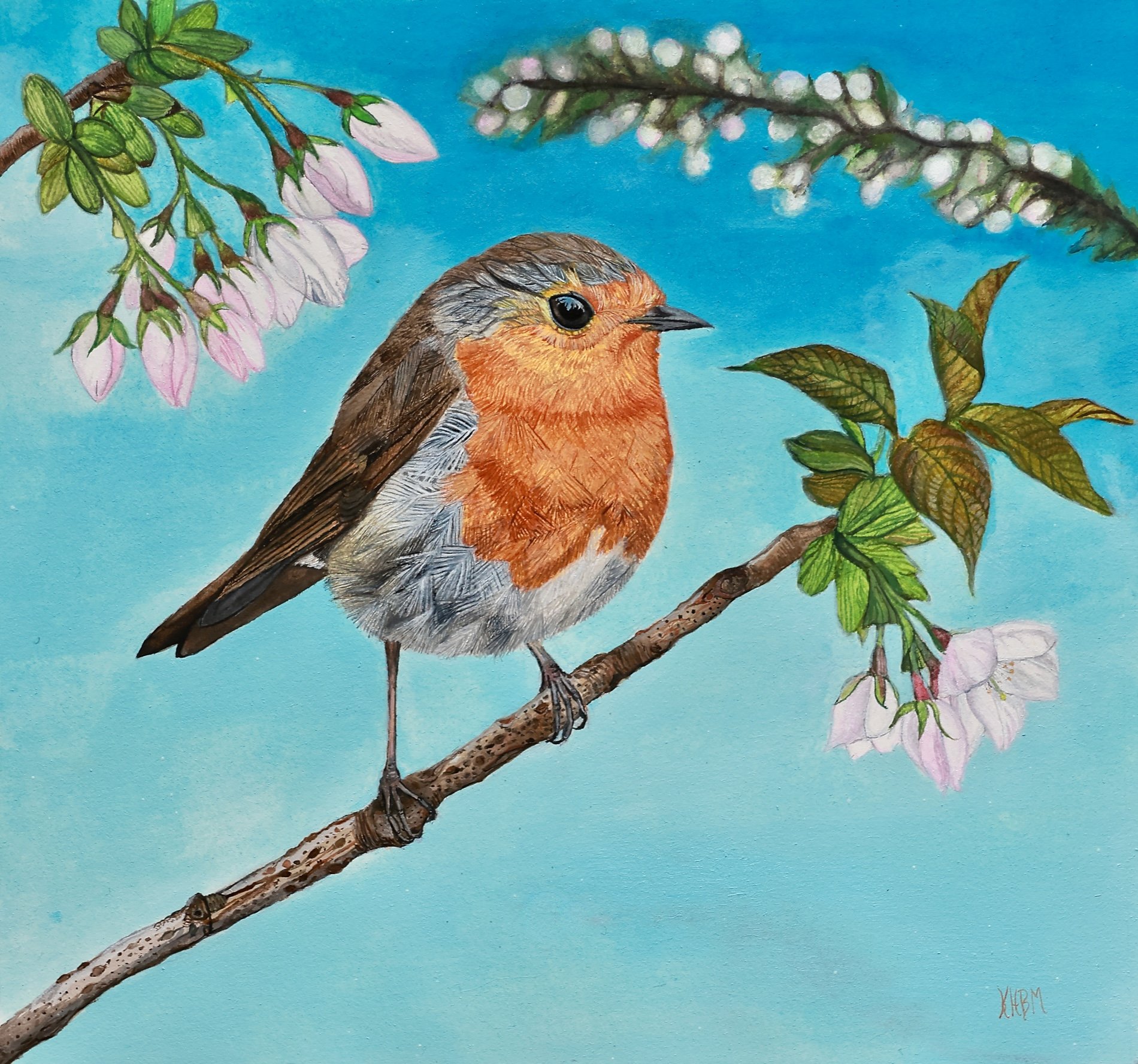 Spring Robin (watercolour).