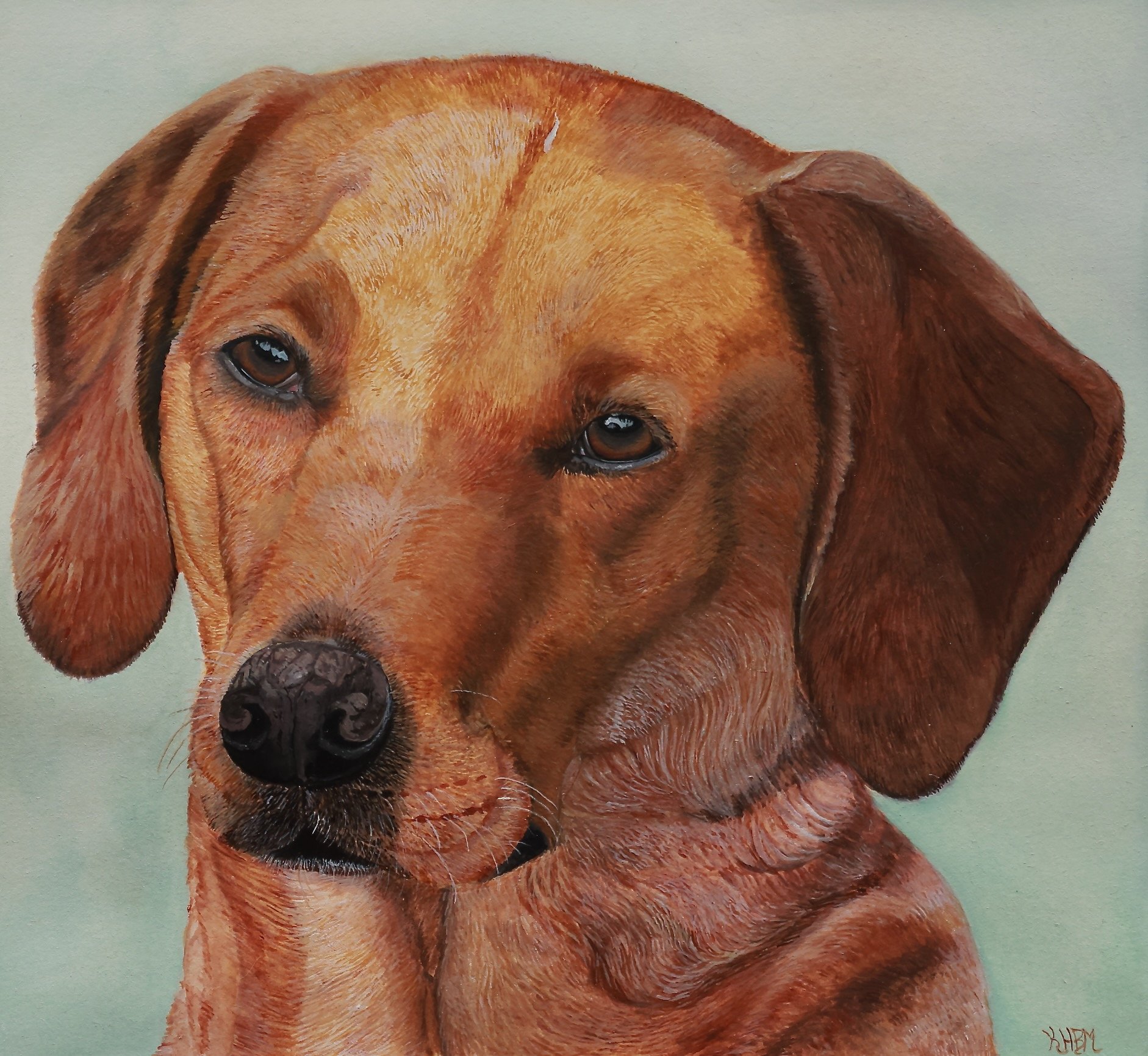 'Rusty.' Watercolour.