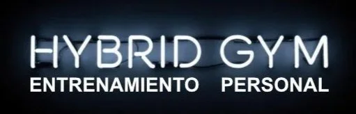HybridGym™