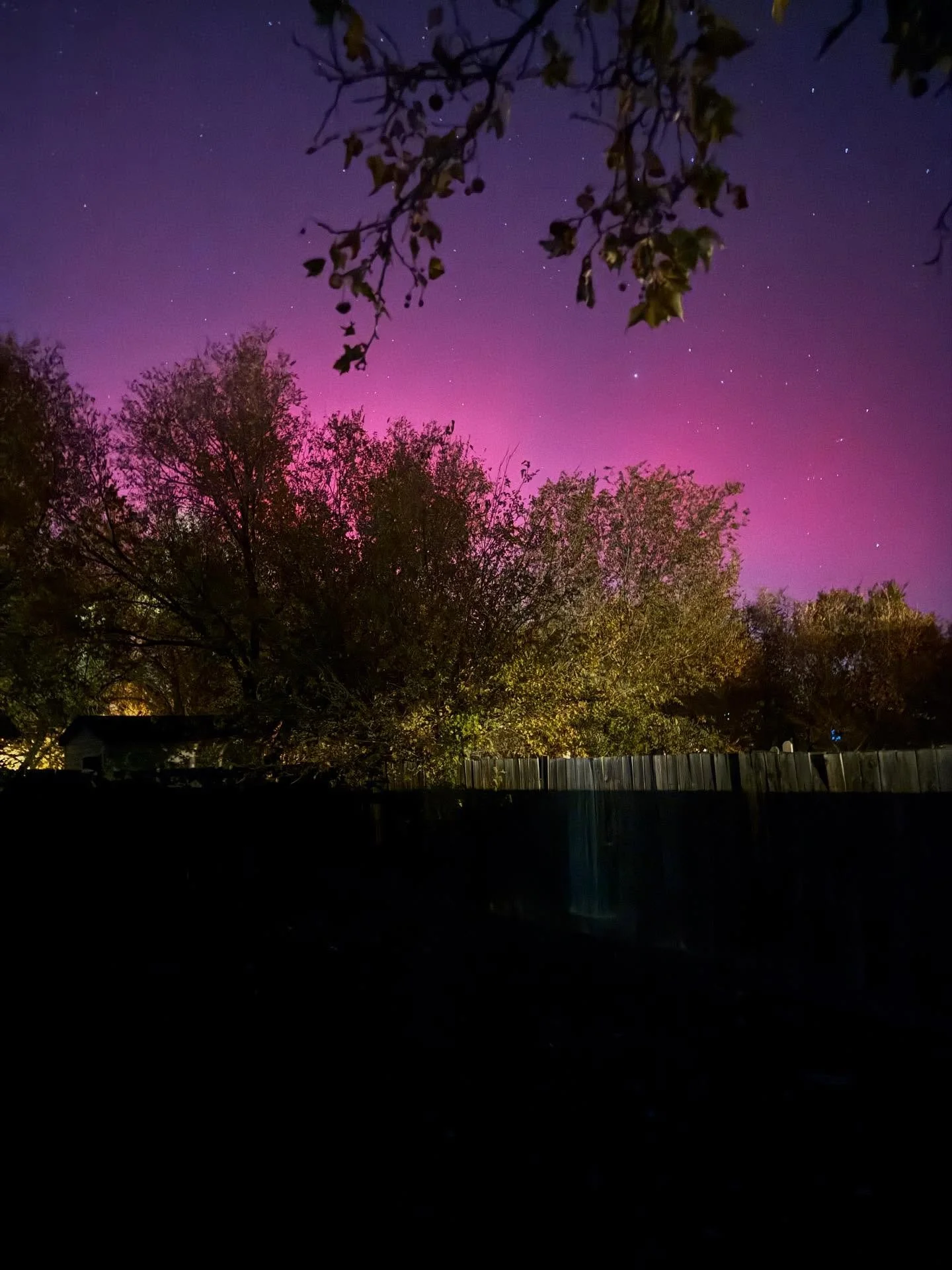 No filter. I almost feel like crying. This is the first time I&rsquo;ve ever seen the Northern Lights in person 🥹 what a cool experience. Look at how neat the stars look too!