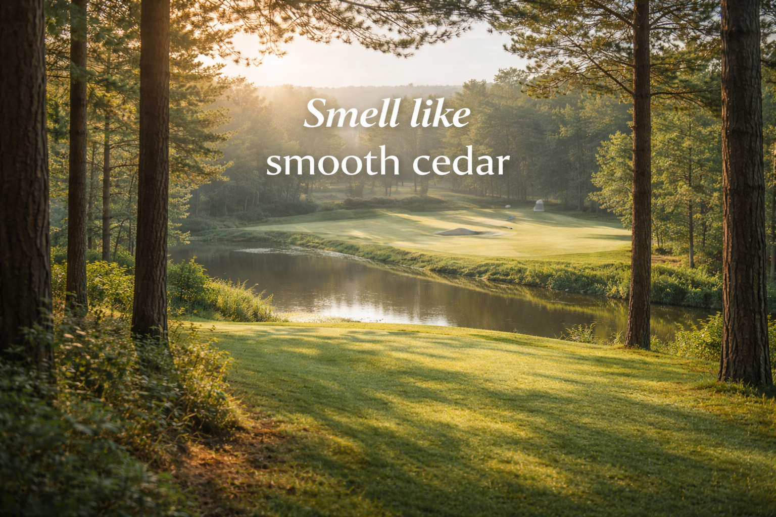 tee timber secondary image.png