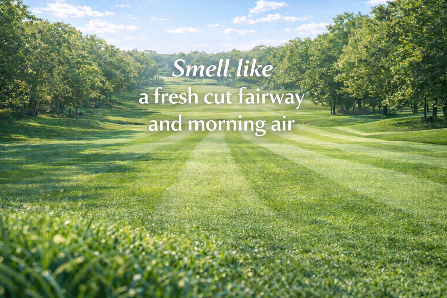 the fresh cut secondary image.png