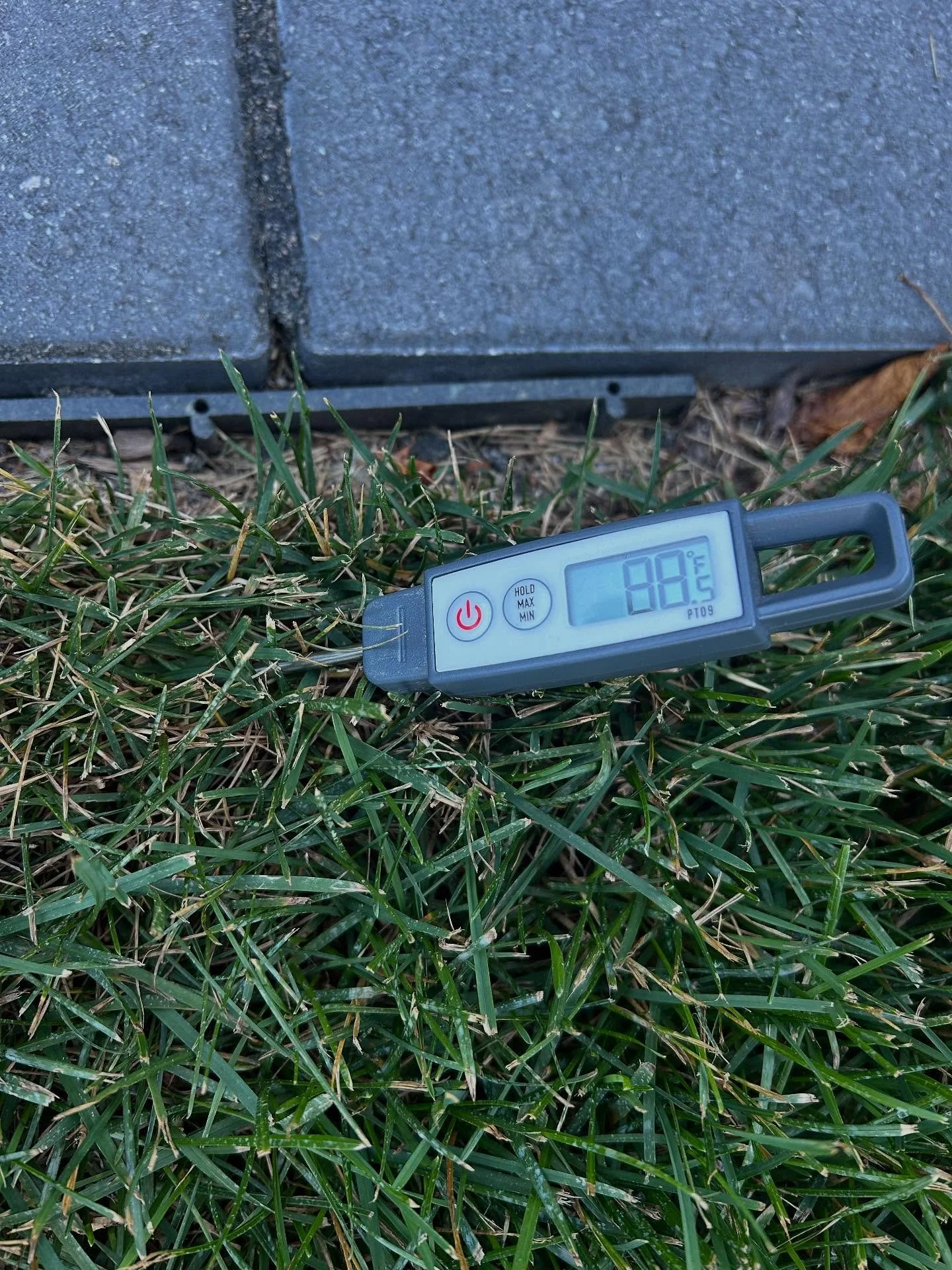 The lawn is definitely not happy with soil temps this high! Currently going through the #ontarioheatwave trying to keep the lawn cool using plenty of water. Lawn still looking great for temps in the mid 40s! #summerlawn #summerlawntips #heatwave #hea