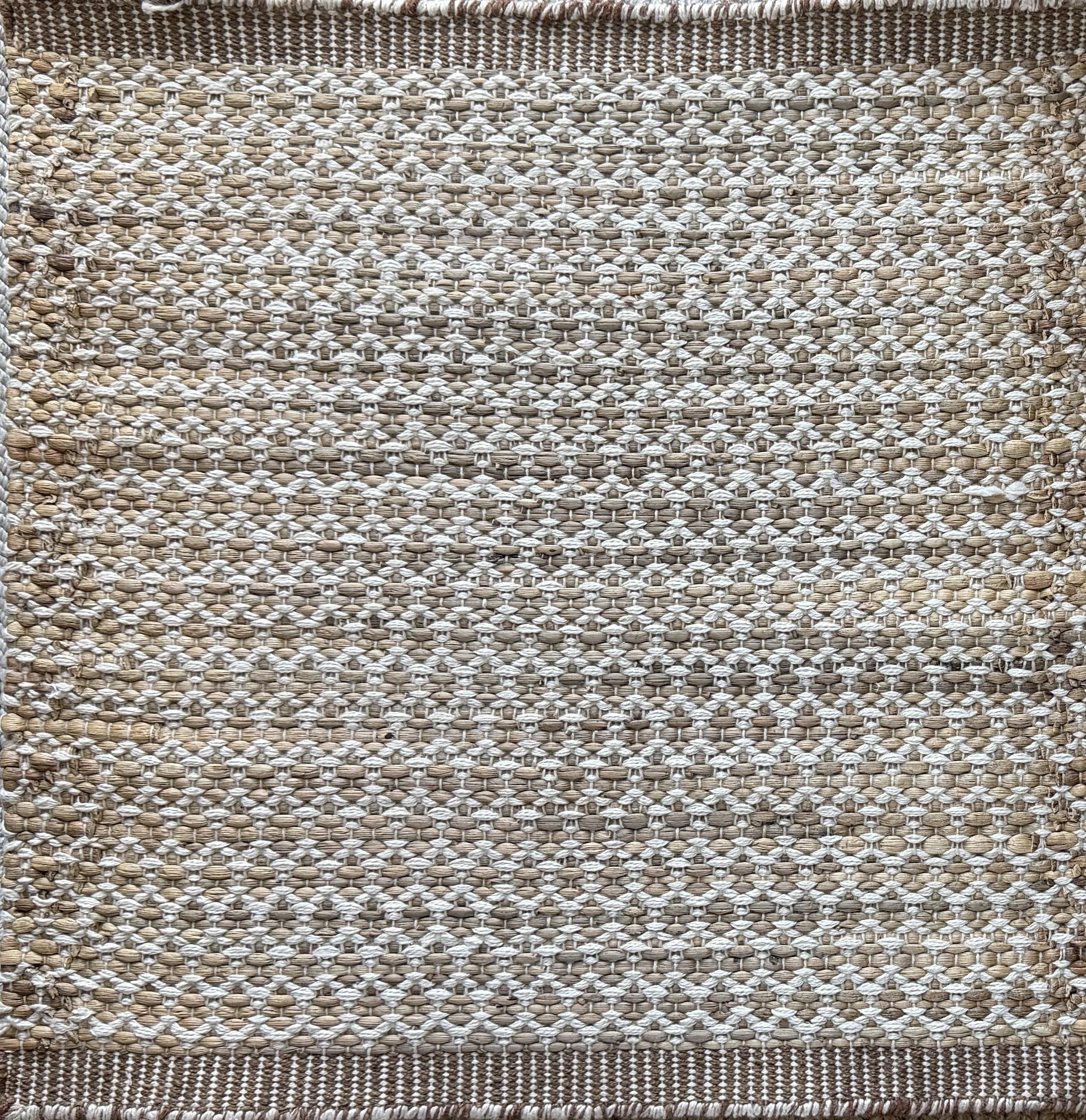 FNL26006 Water Hyacinth + PET