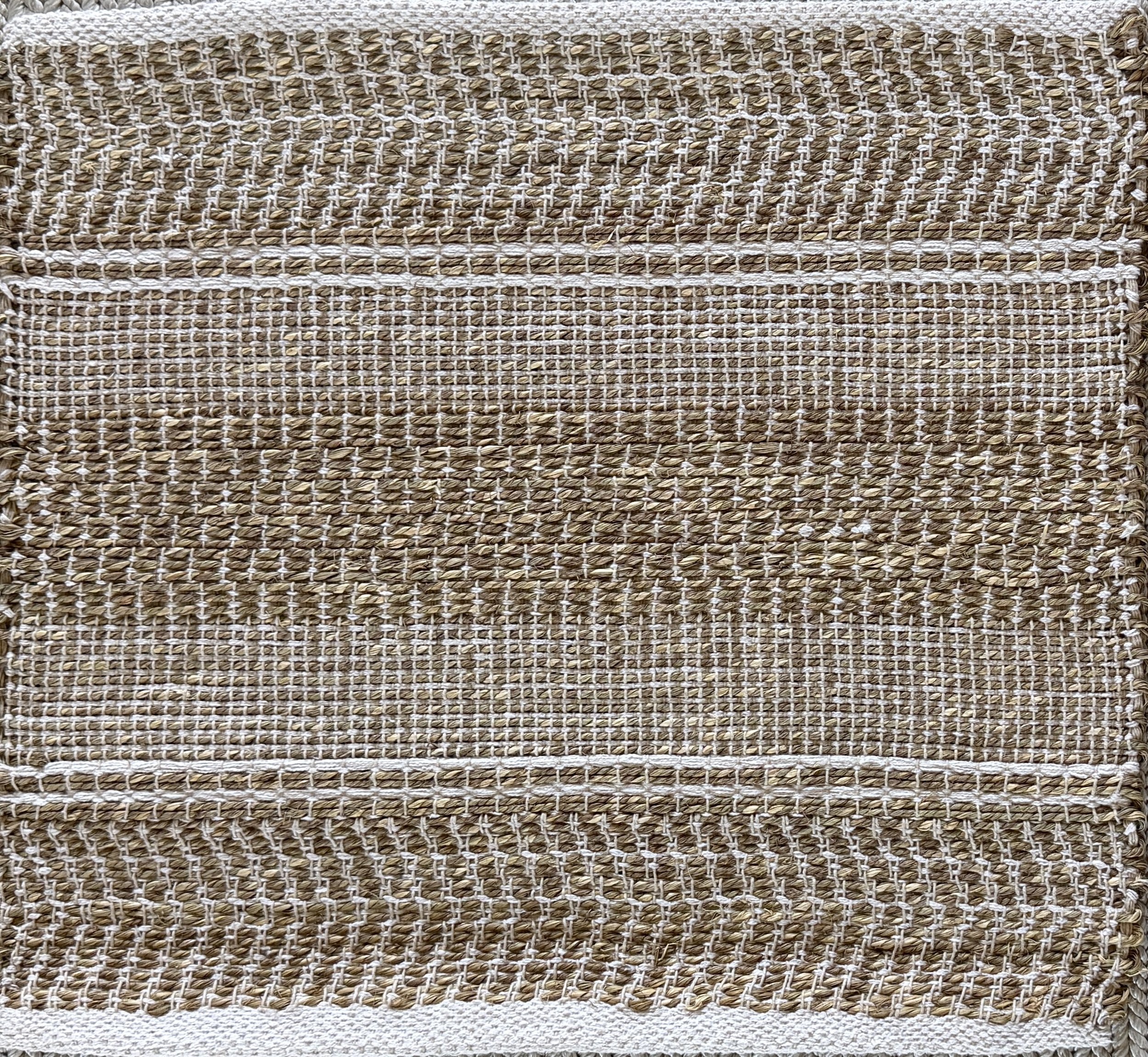 FNL26002 Seagrass + PET