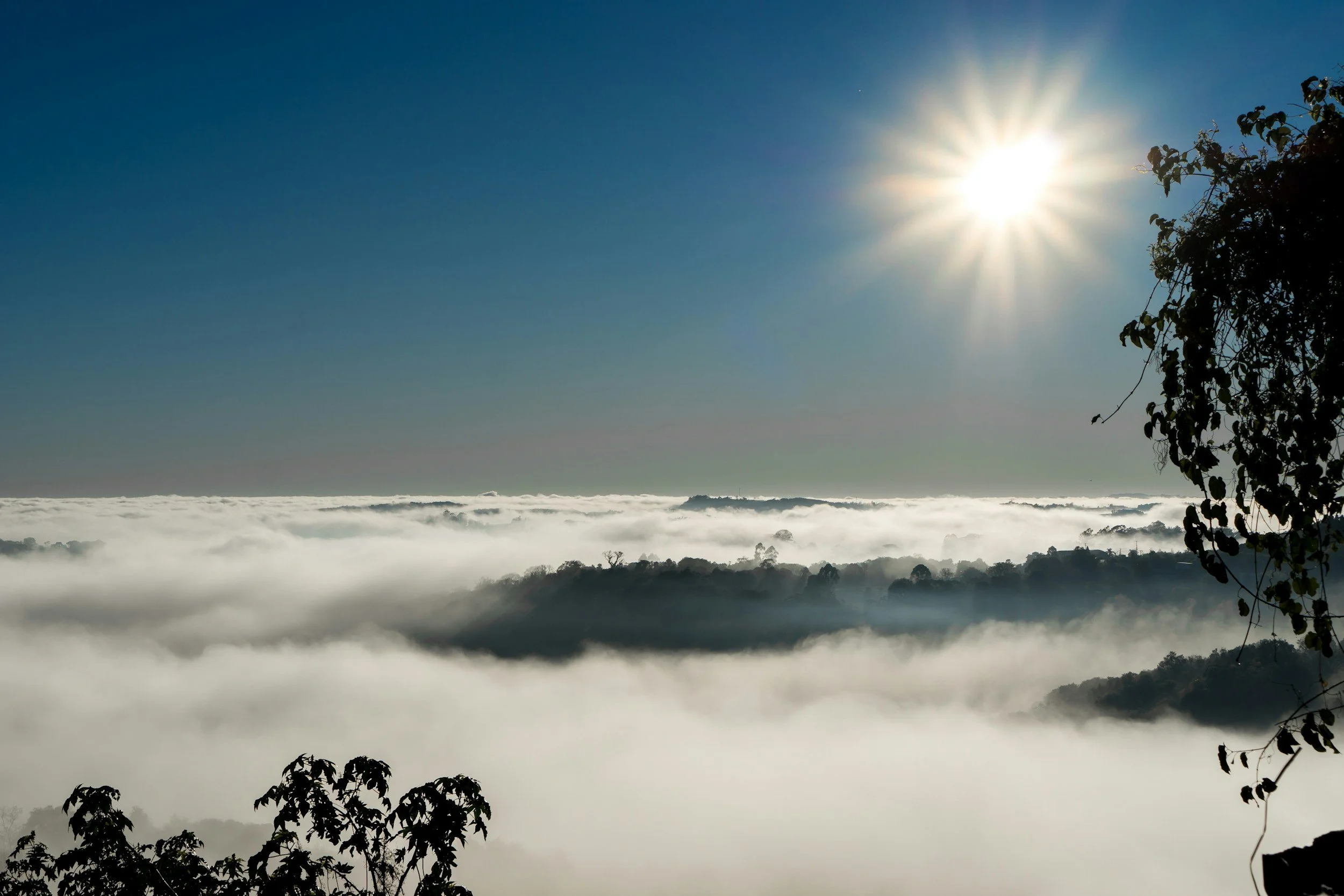 Sun shining over a landscape of fog-covered hills and trees with a clear blue sky.