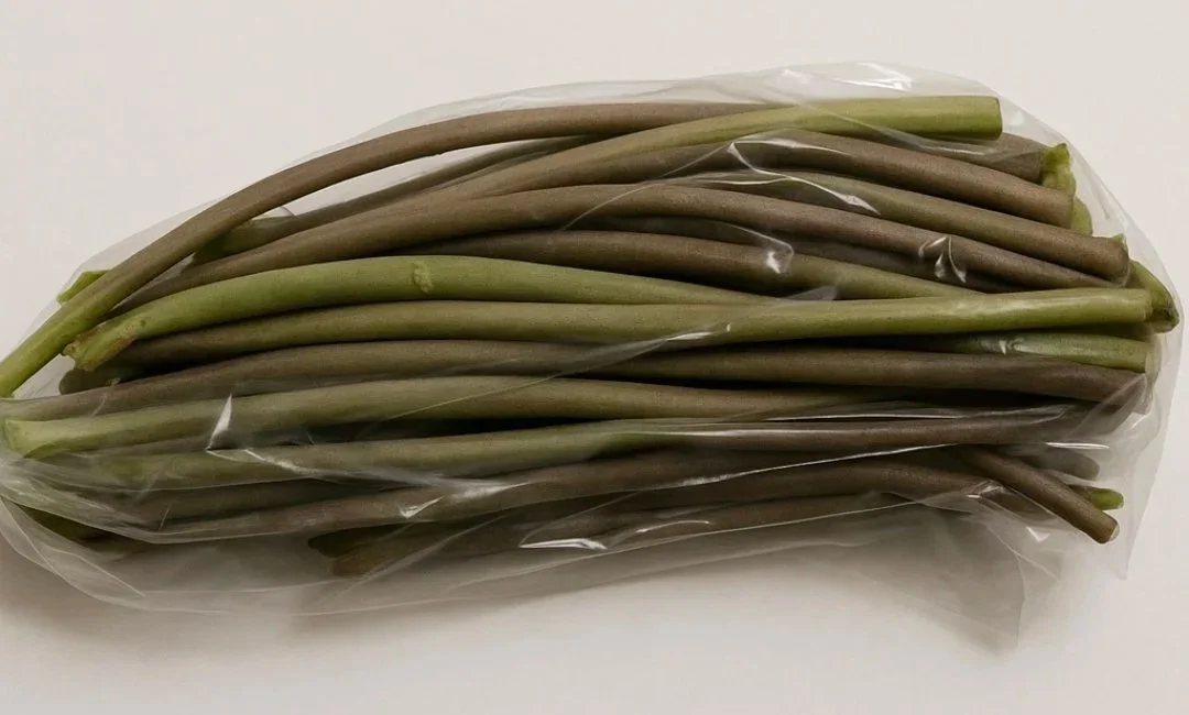 Wasabi Petioles (free shipping)