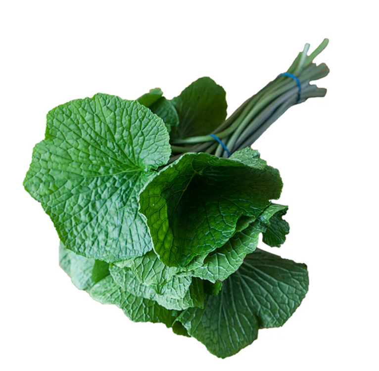 Wasabi Leaves