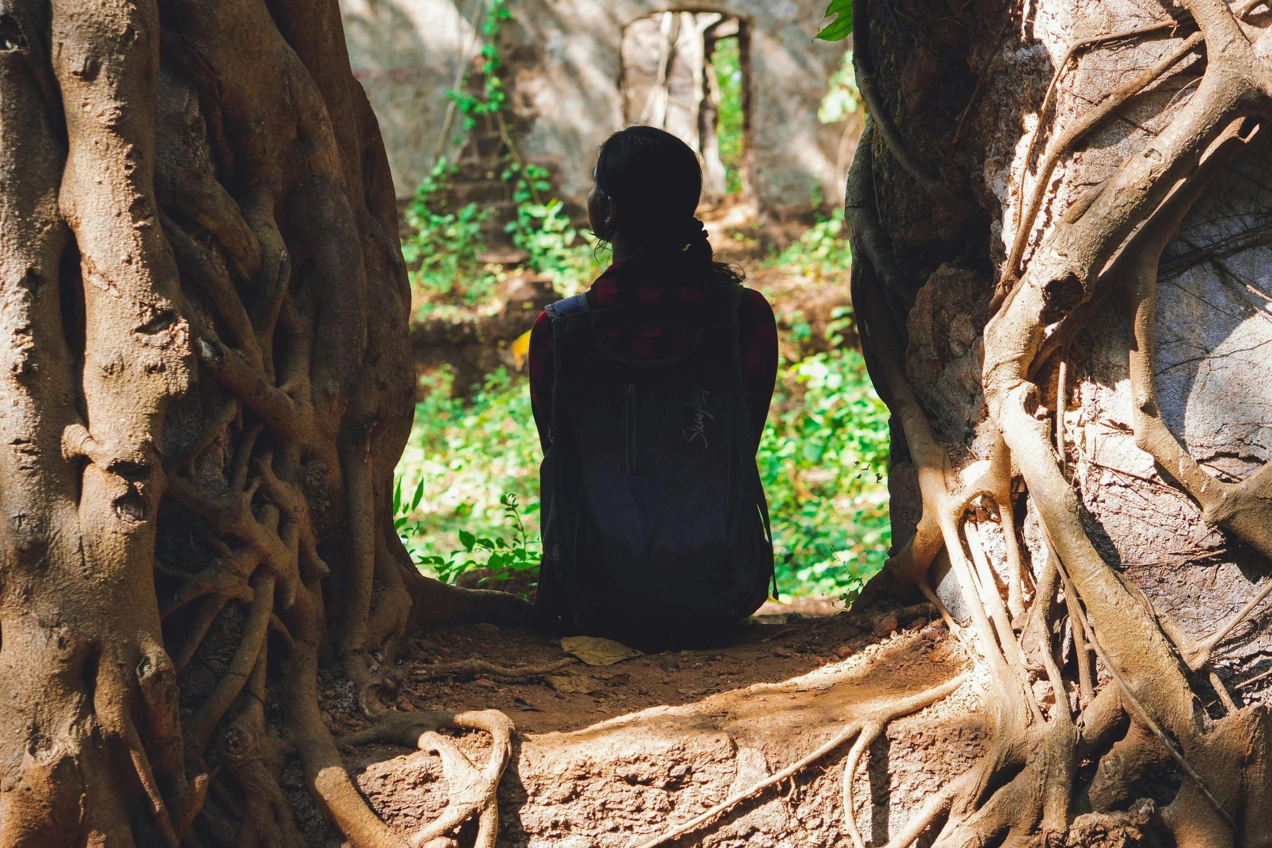 A person sitting on the ground with their back to the camera, surrounded by trees and foliage in a forest, seen through a natural opening formed by tree roots.