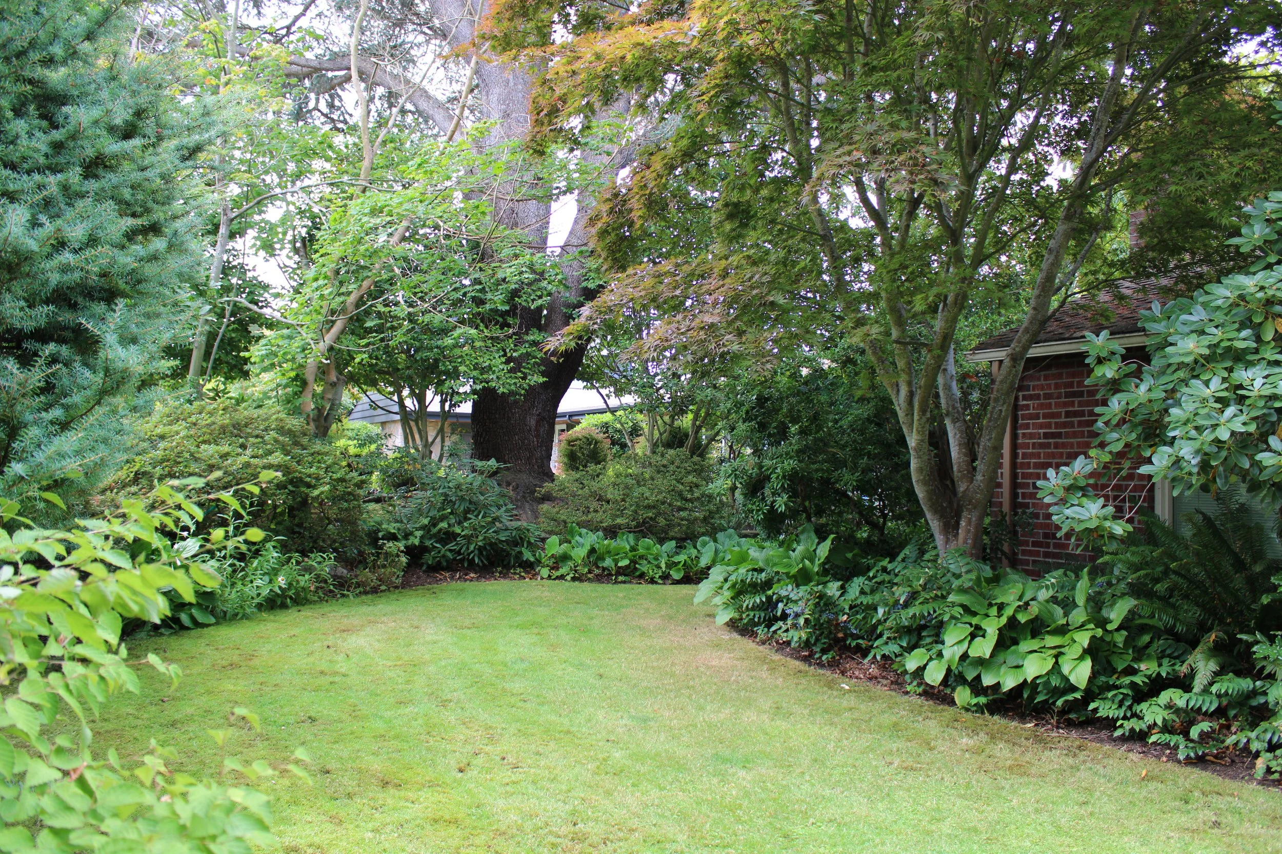 A lush green backyard garden with various trees, bushes, and plants next to a brick house, featuring a well-maintained lawn.