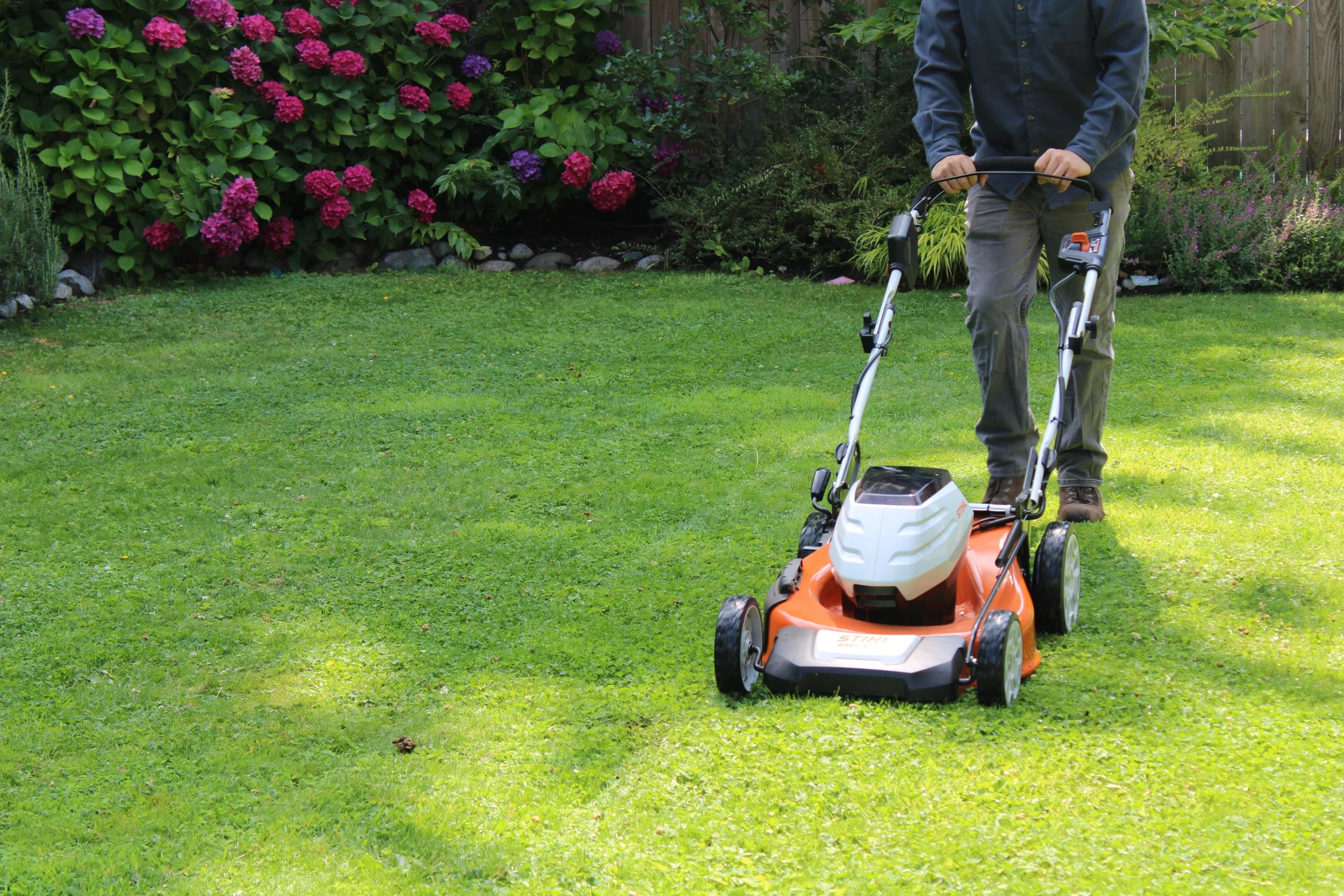 Person mowing lawn with a push lawn mower in a residential backyard garden with bushes and flowers.