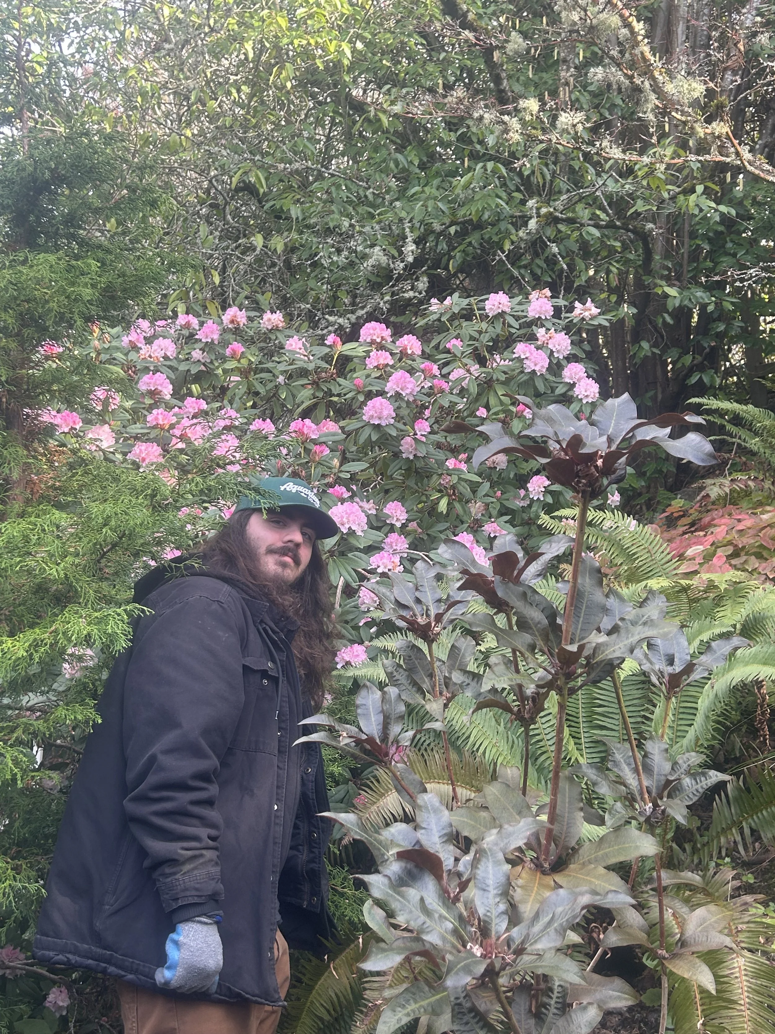 A person with long hair, a beard, wearing a dark jacket, gray gloves, and a green cap, standing among lush green foliage and pink flowering shrubs in a garden or park.